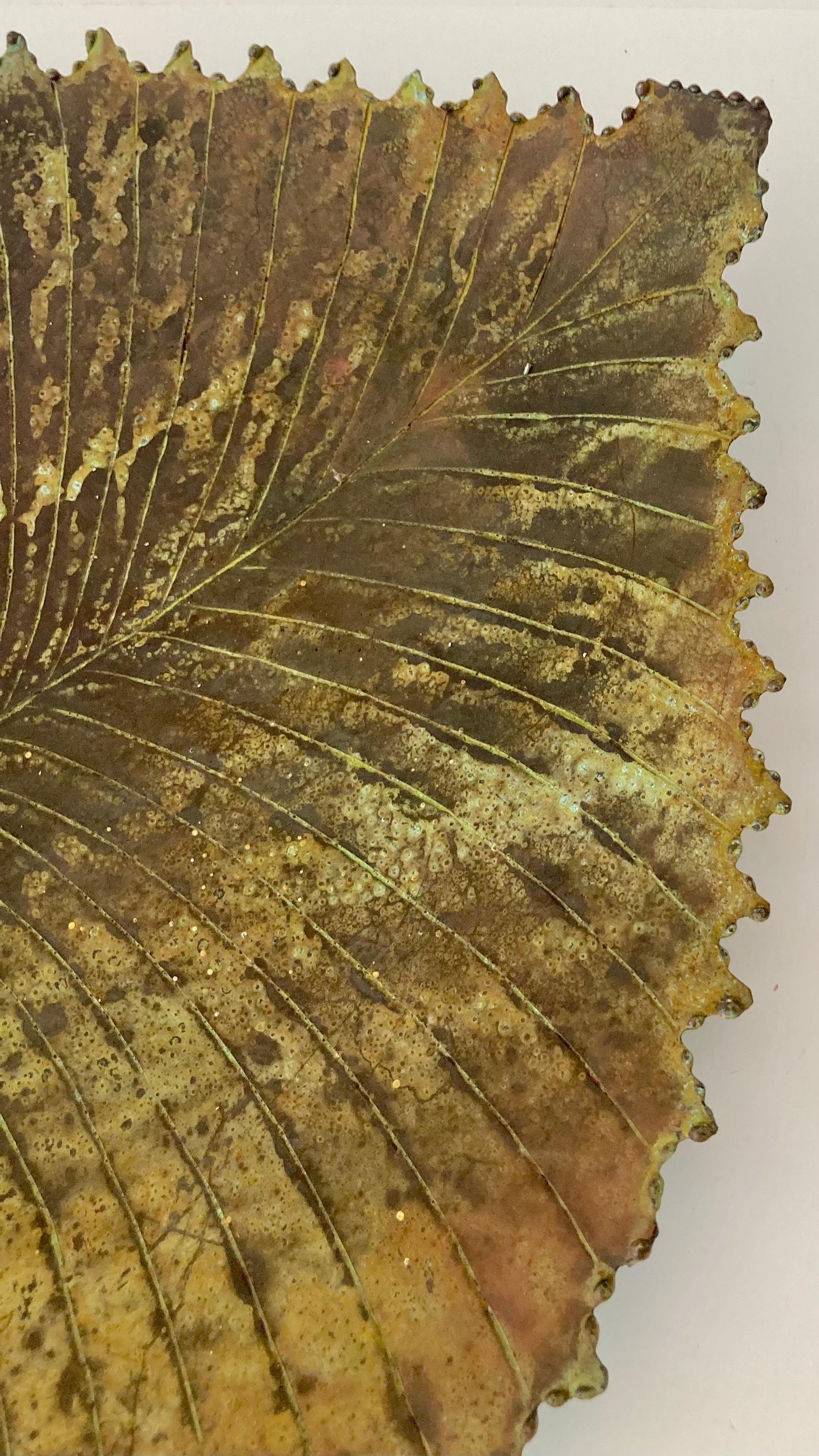 Mid-20th Century Bronze Leaf Centerpiece Sculpture #6 For Sale