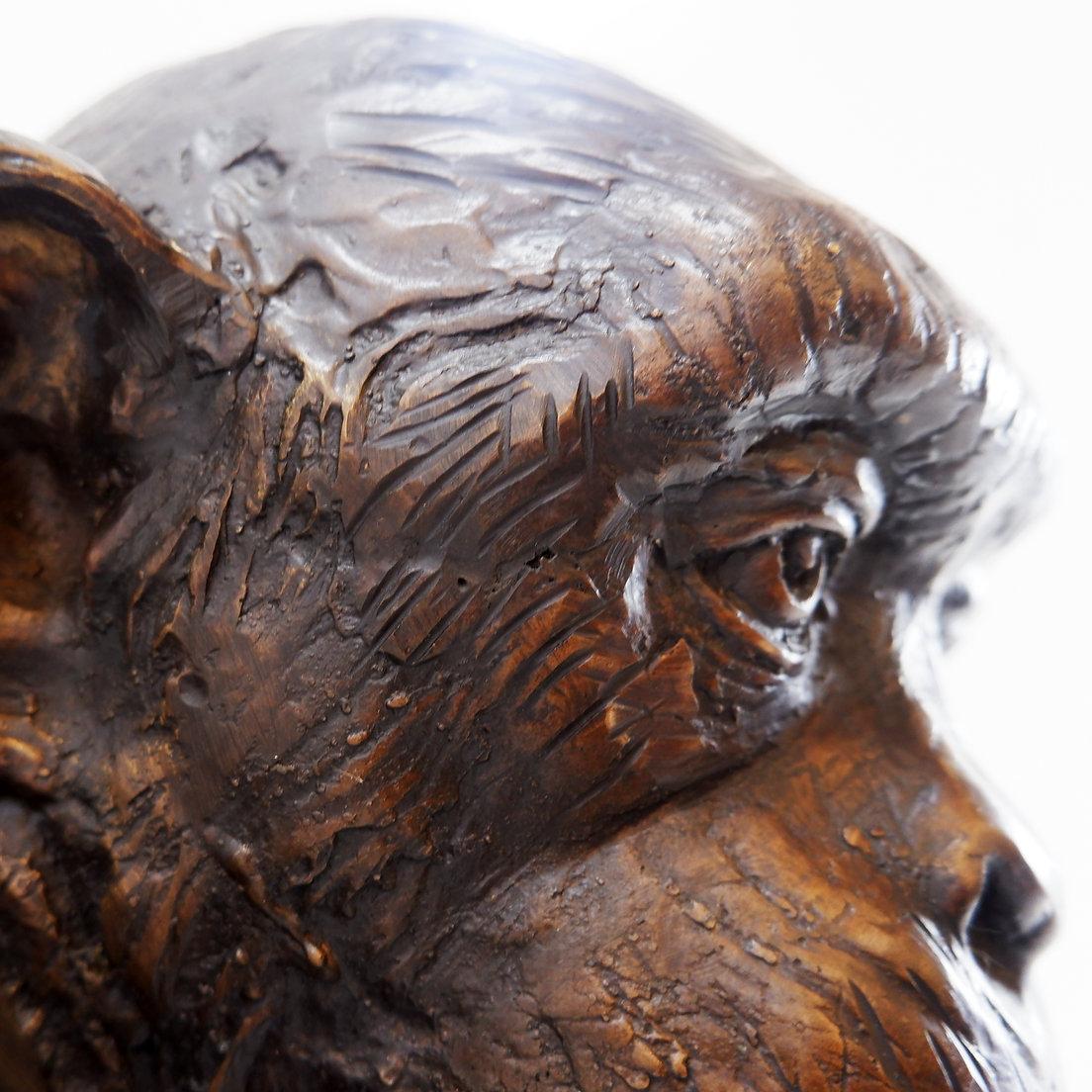 Bronze Life-size Chimpanzee Statue 7