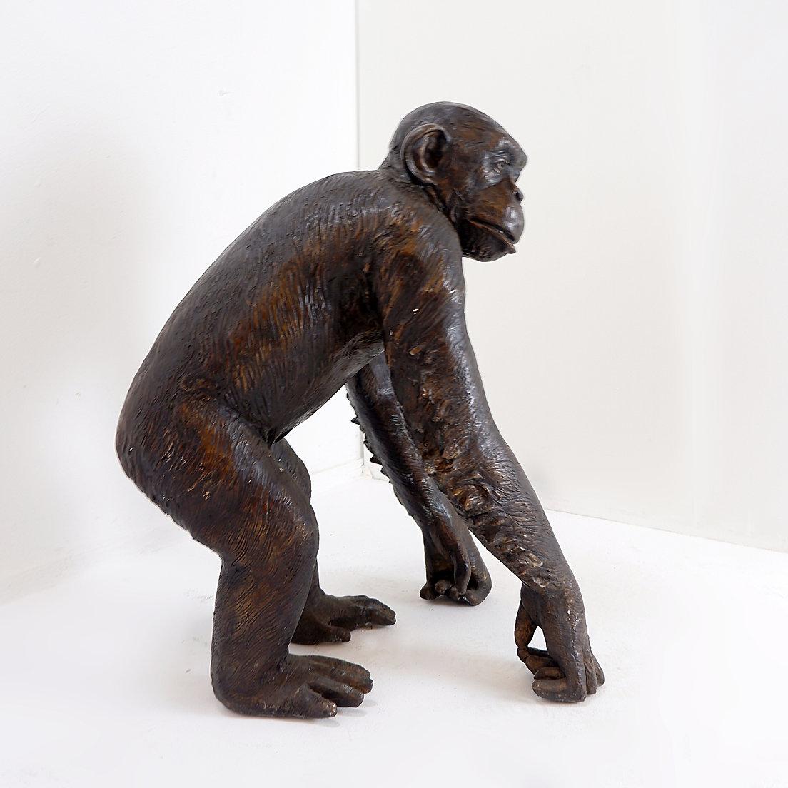 Bronze Life-size Chimpanzee Statue
Animal - Bronze - Sculpture
Measures: 40x54cm h:77cm
Material : Bronze
Wear consistent with age and use.