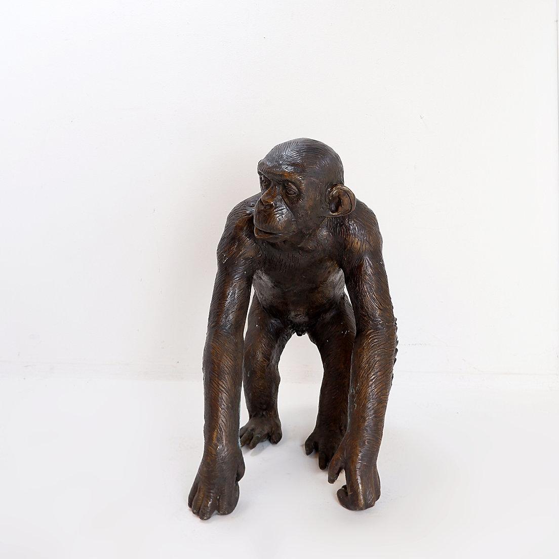 Bronze Life-size Chimpanzee Statue In Good Condition In Linkebeek, BE