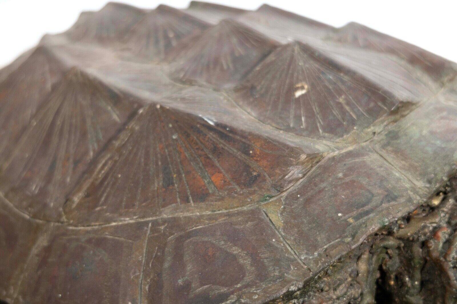 Bronze Life Sized Snapping Turtle Contemporary Realism Reptile Floor Sculpture 2