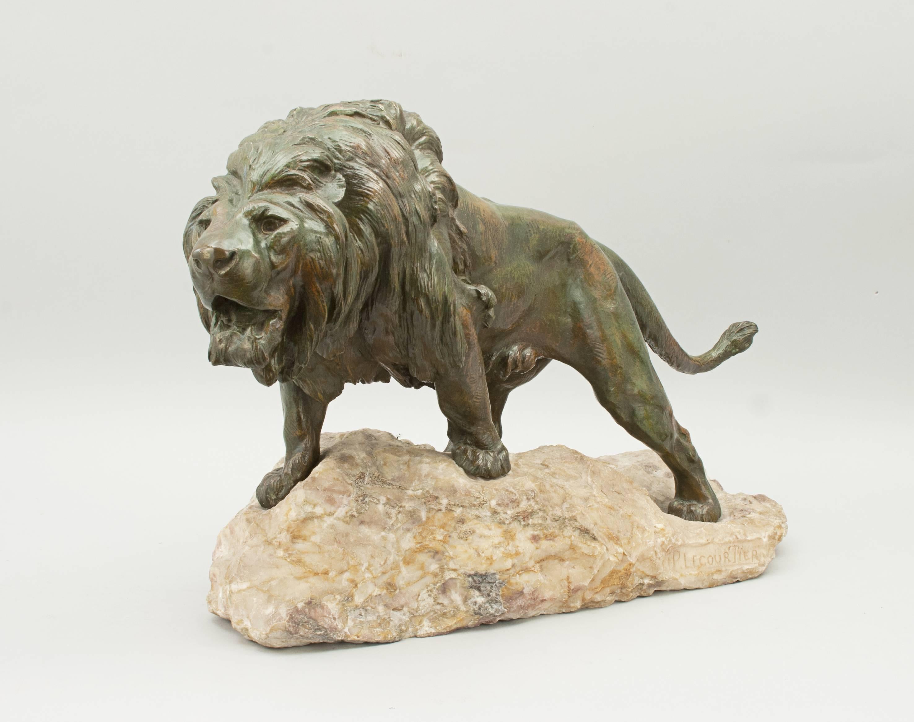 Late 19th Century Bronze Lion by Lecourtier