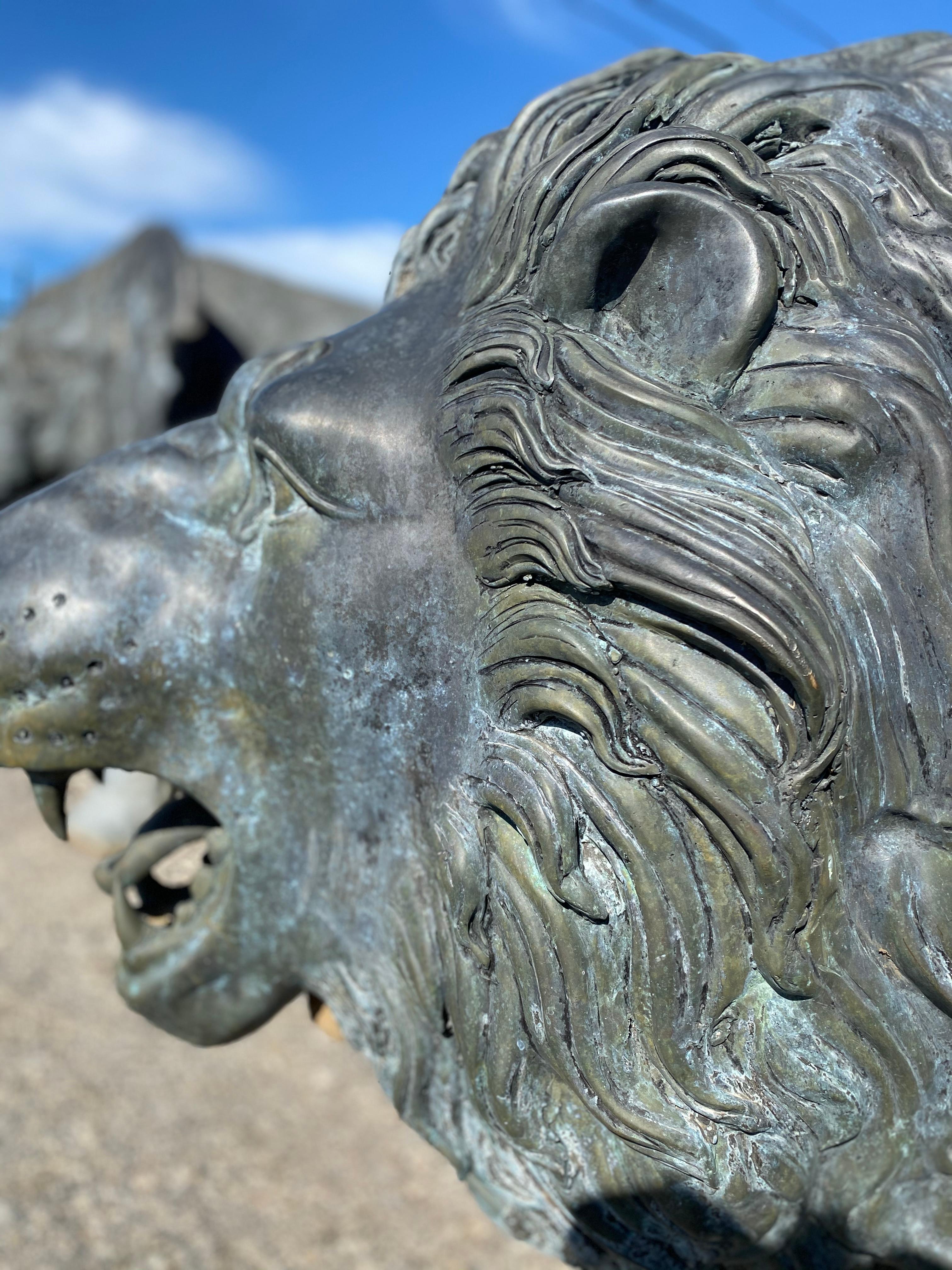 Bronze Lion Garden Statue 5
