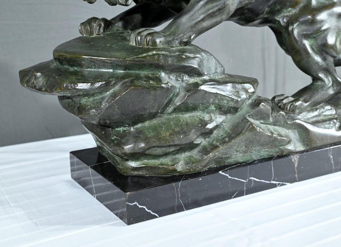 Brüllender Löwe aus Bronze, signiert Nerin - Anfang 20. im Angebot 6