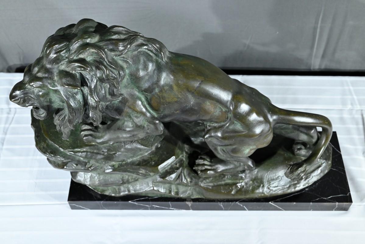 Brüllender Löwe aus Bronze, signiert Nerin - Anfang 20. im Zustand „Gut“ im Angebot in HÉRIC, FR