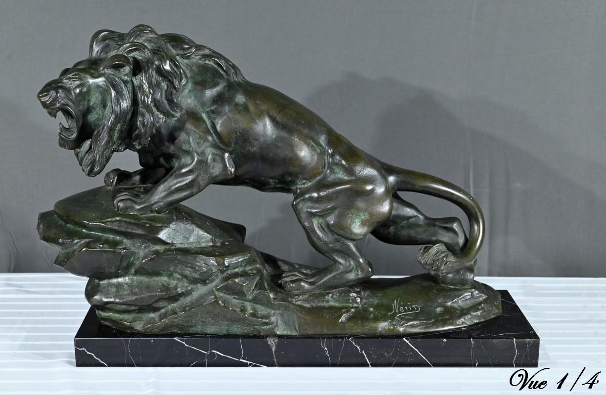Brüllender Löwe aus Bronze, signiert Nerin - Anfang 20. (20. Jahrhundert) im Angebot