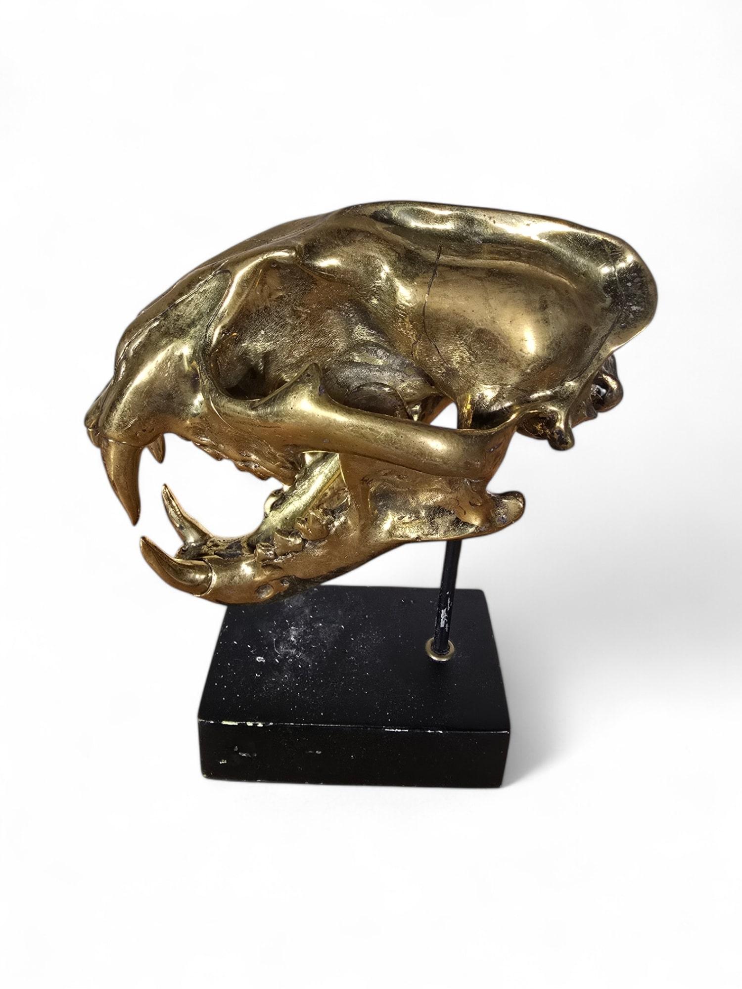 Scultura di bronzo con teschio di leone in vendita 5