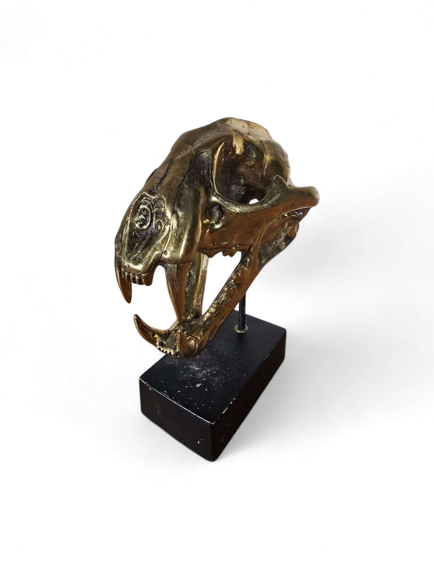 Una scultura in bronzo raffigurante un teschio di leone, montata su una base di legno. Questa opera d'arte sorprendente e realistica riflette un'esperta maestria e un'attenzione ai dettagli anatomici.

Caratteristiche:

Materiale: Bronzo massiccio