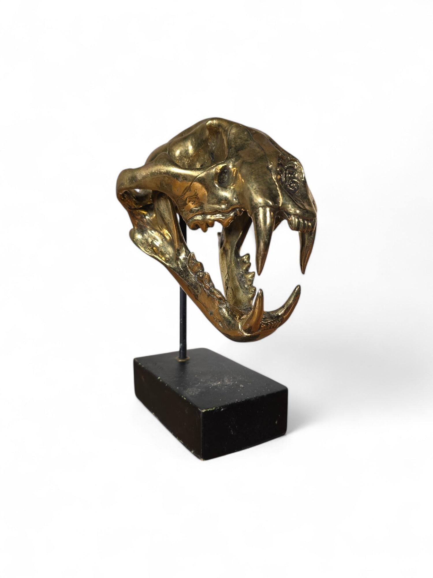 XX secolo Scultura di bronzo con teschio di leone in vendita