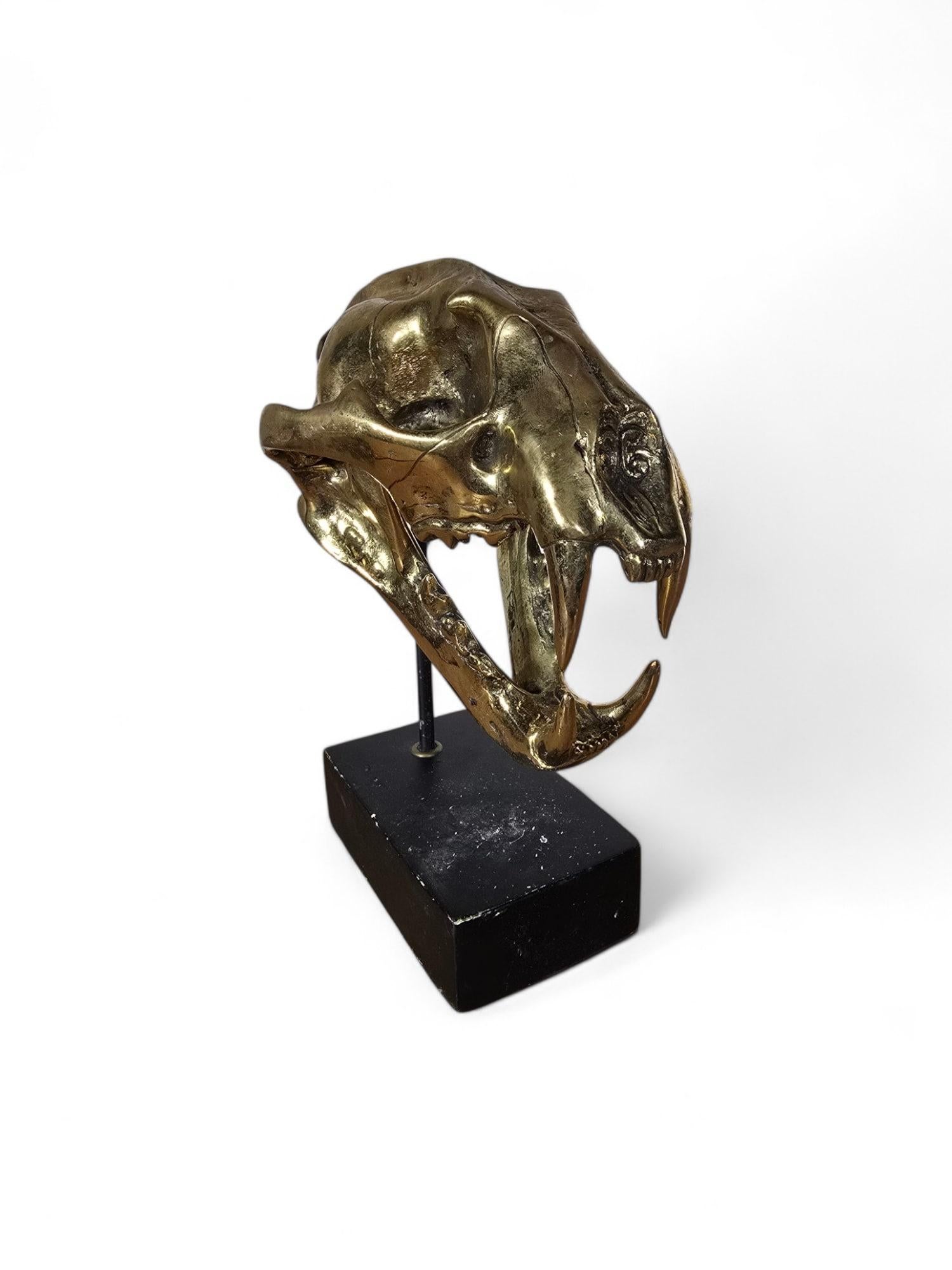 Bronzo Scultura di bronzo con teschio di leone in vendita