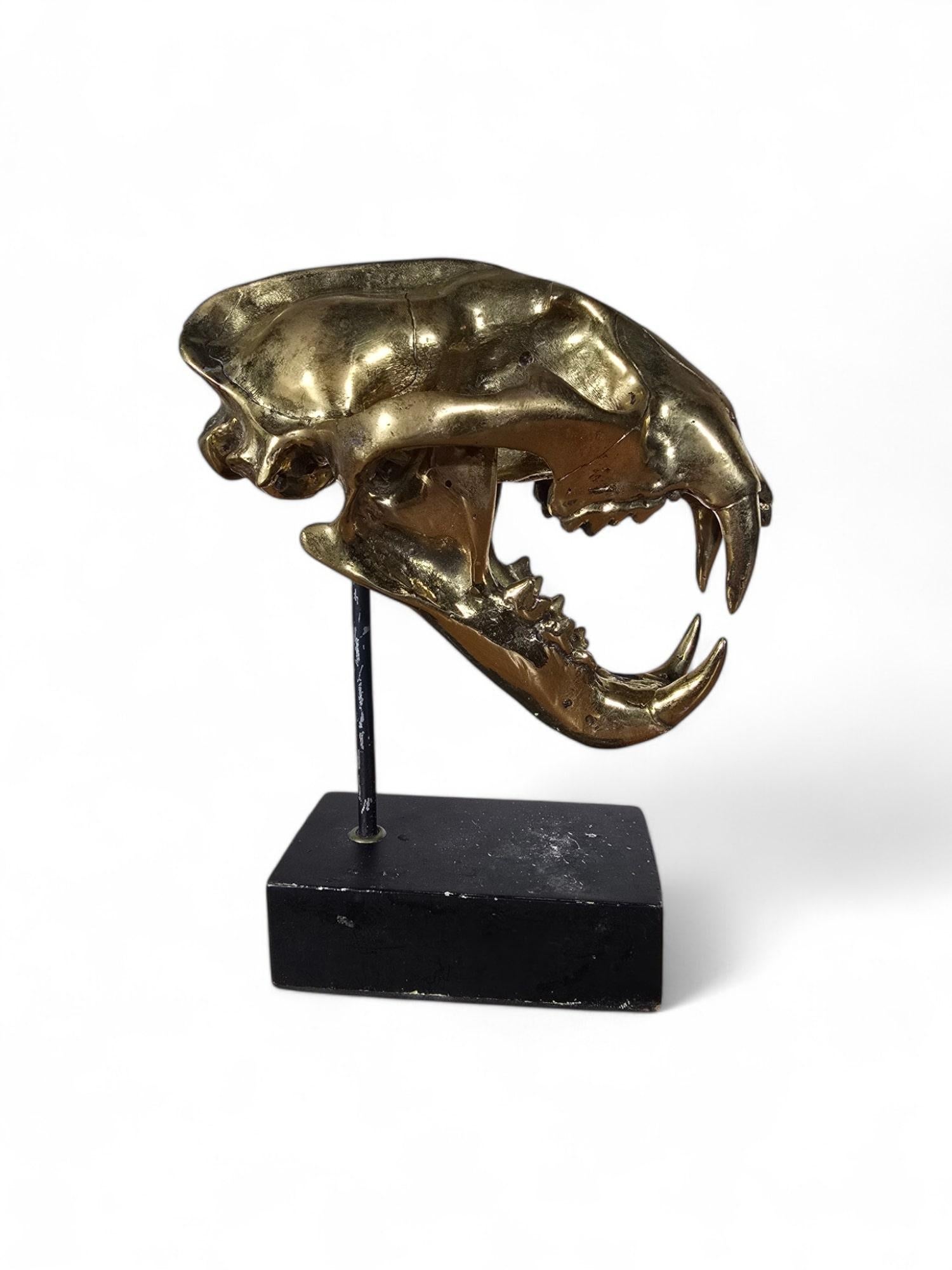 Scultura di bronzo con teschio di leone in vendita 1