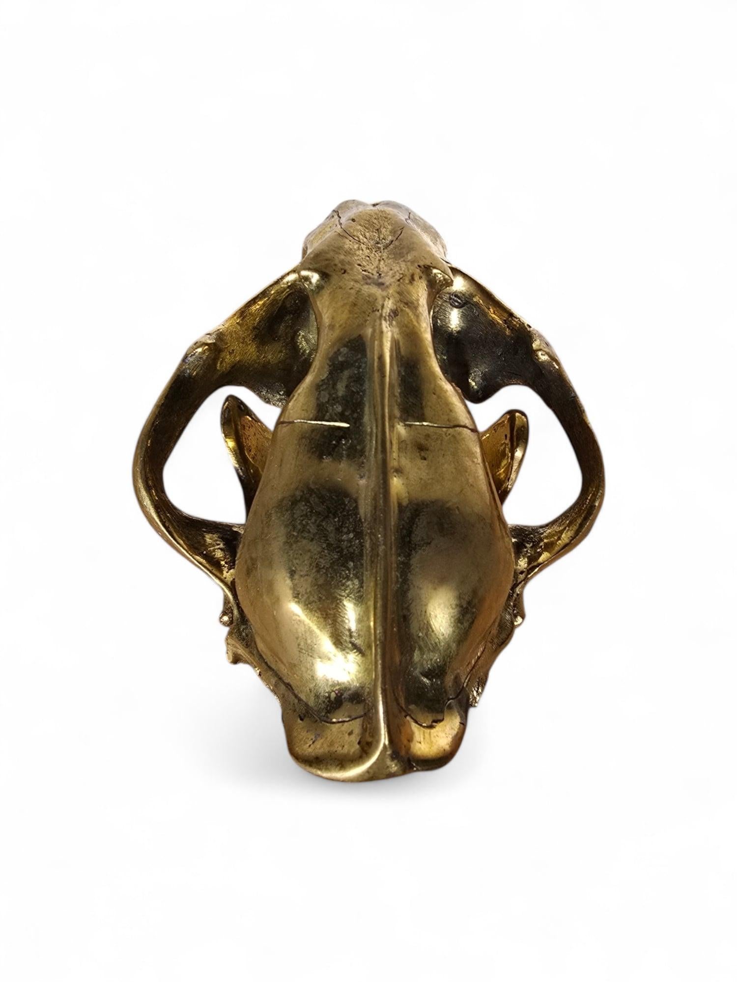 Scultura di bronzo con teschio di leone in vendita 3