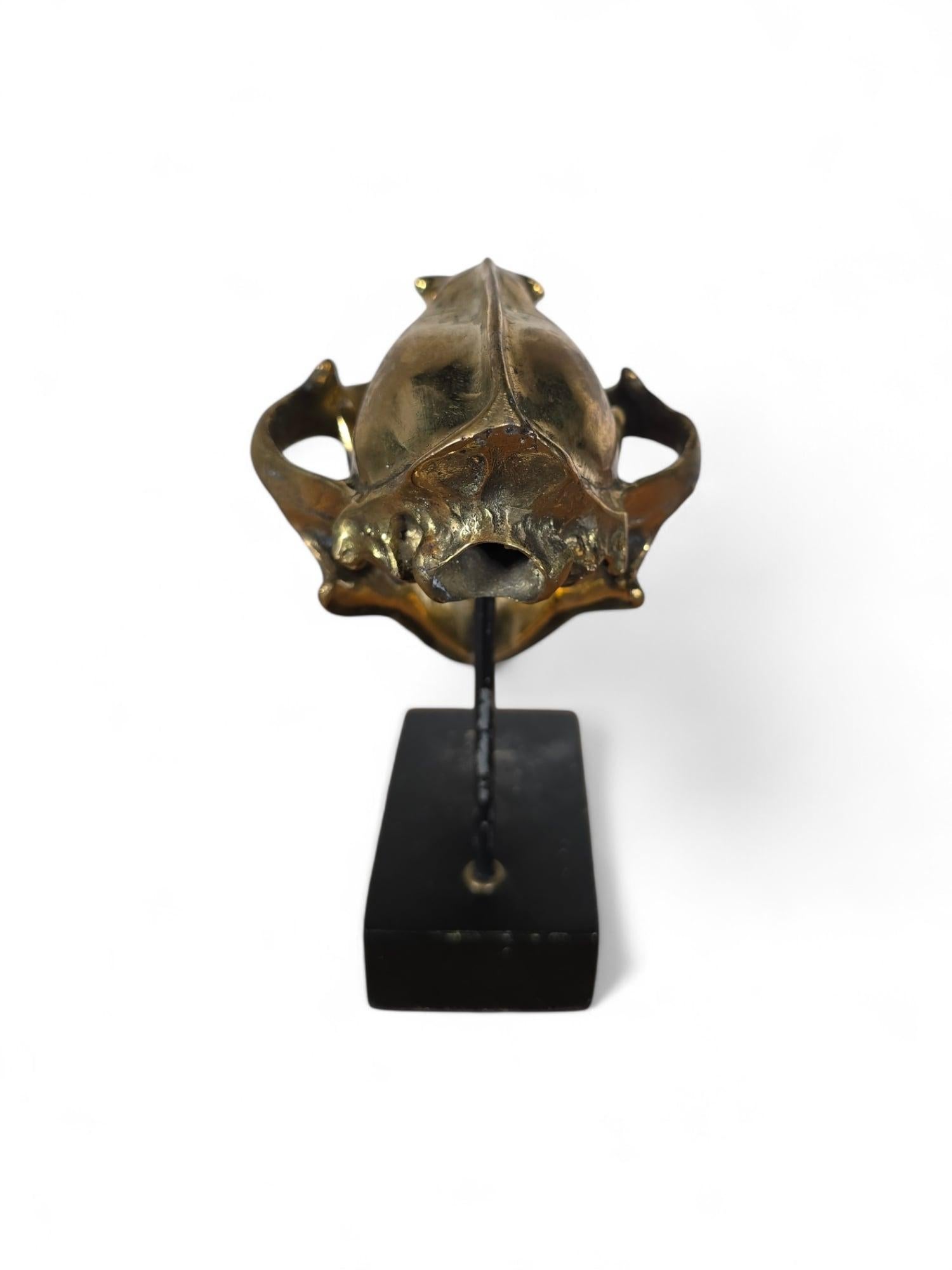 Scultura di bronzo con teschio di leone in vendita 4