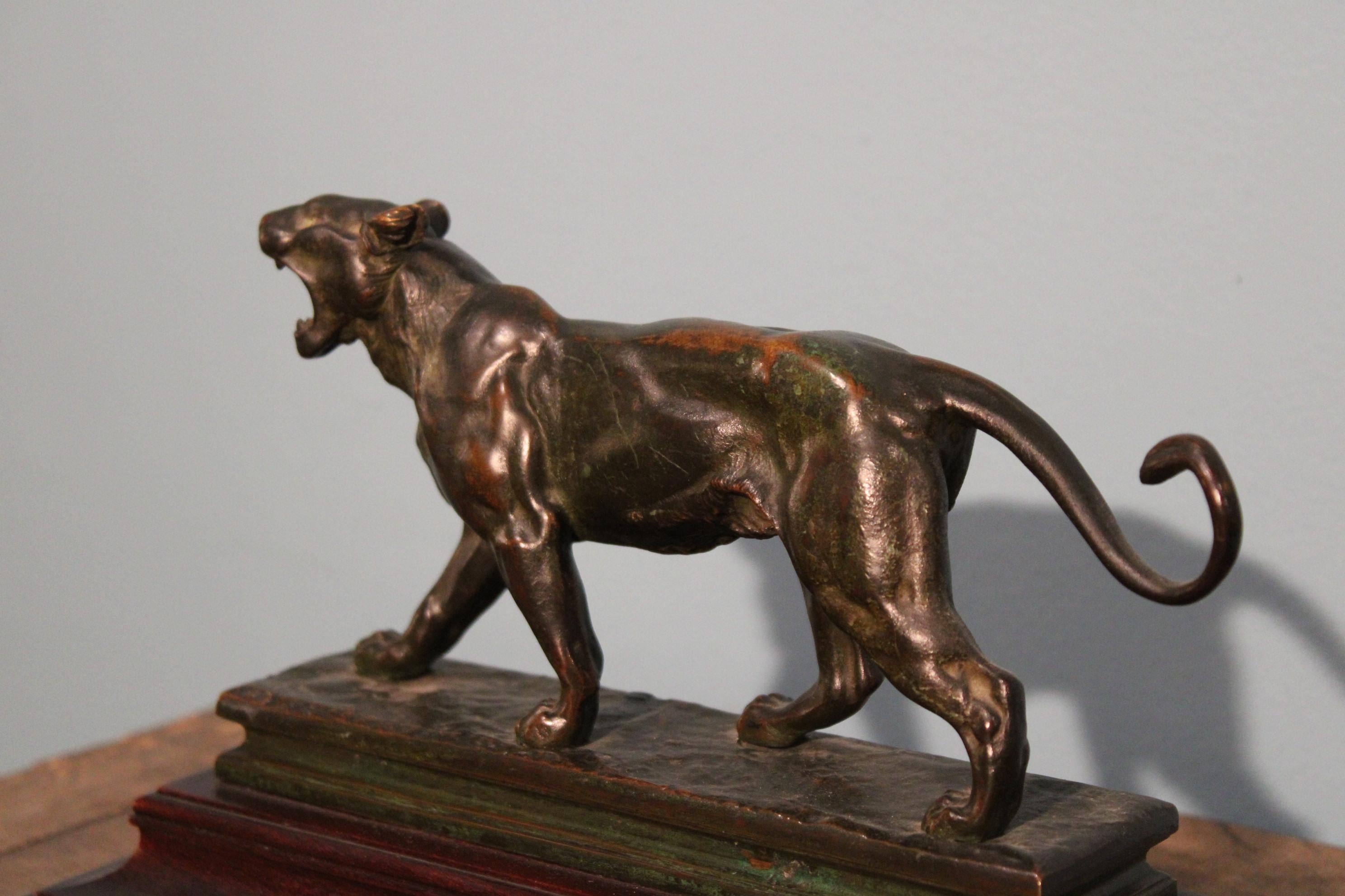 Bronze Lioness, Late 19th Century In Good Condition In Paris, FR