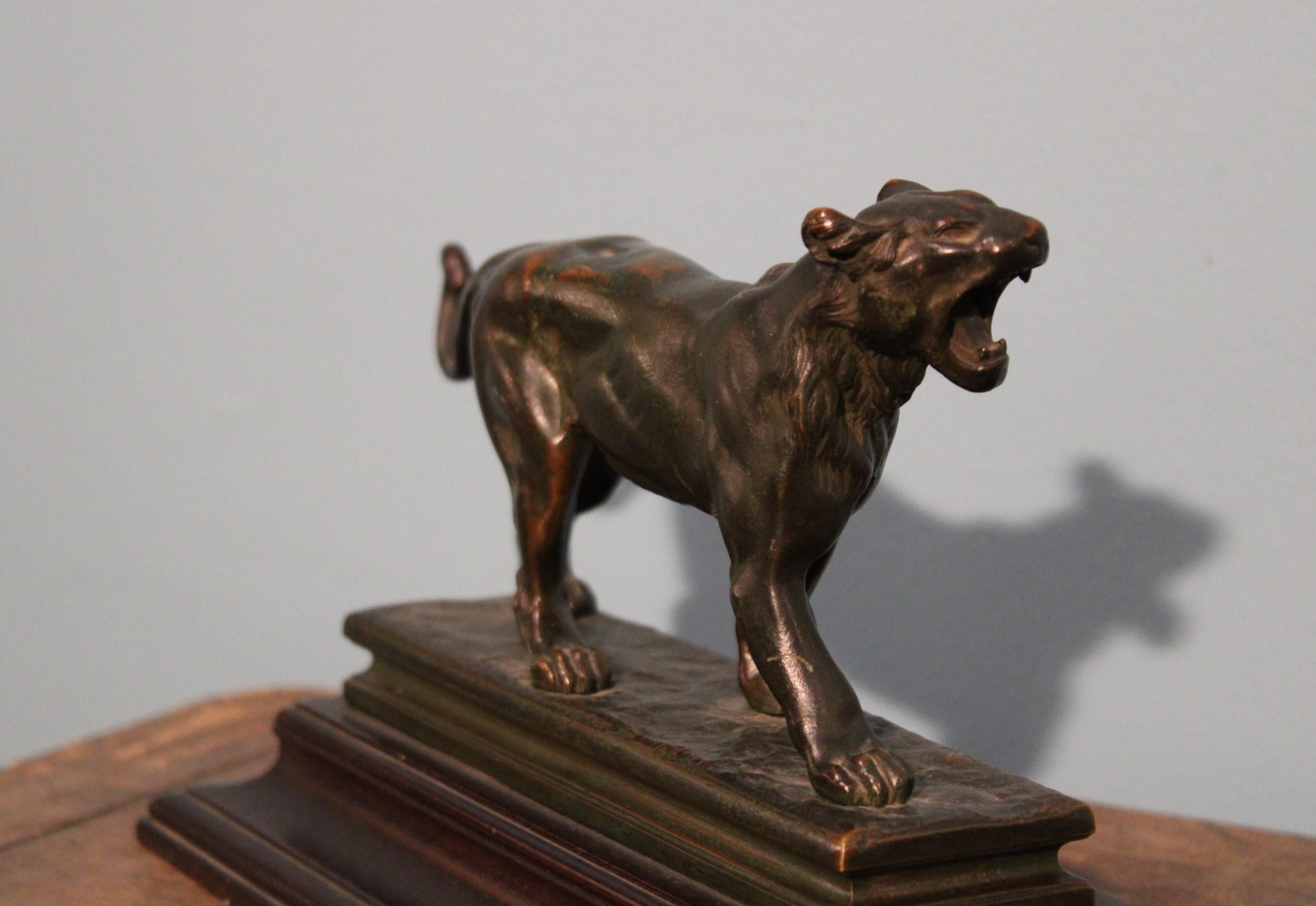 Bronze Lioness, Late 19th Century 1