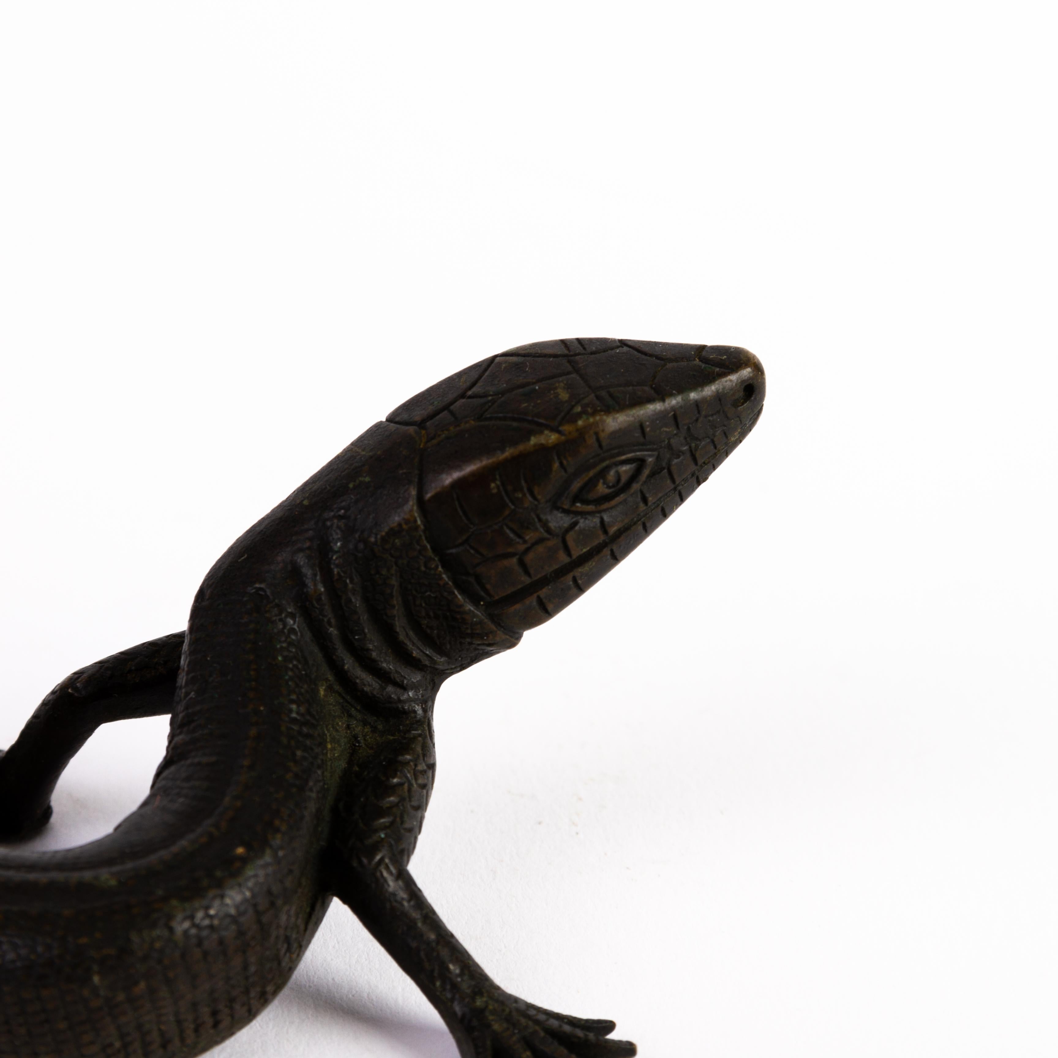 Bronze Lizard Sculpture 19th Century 2