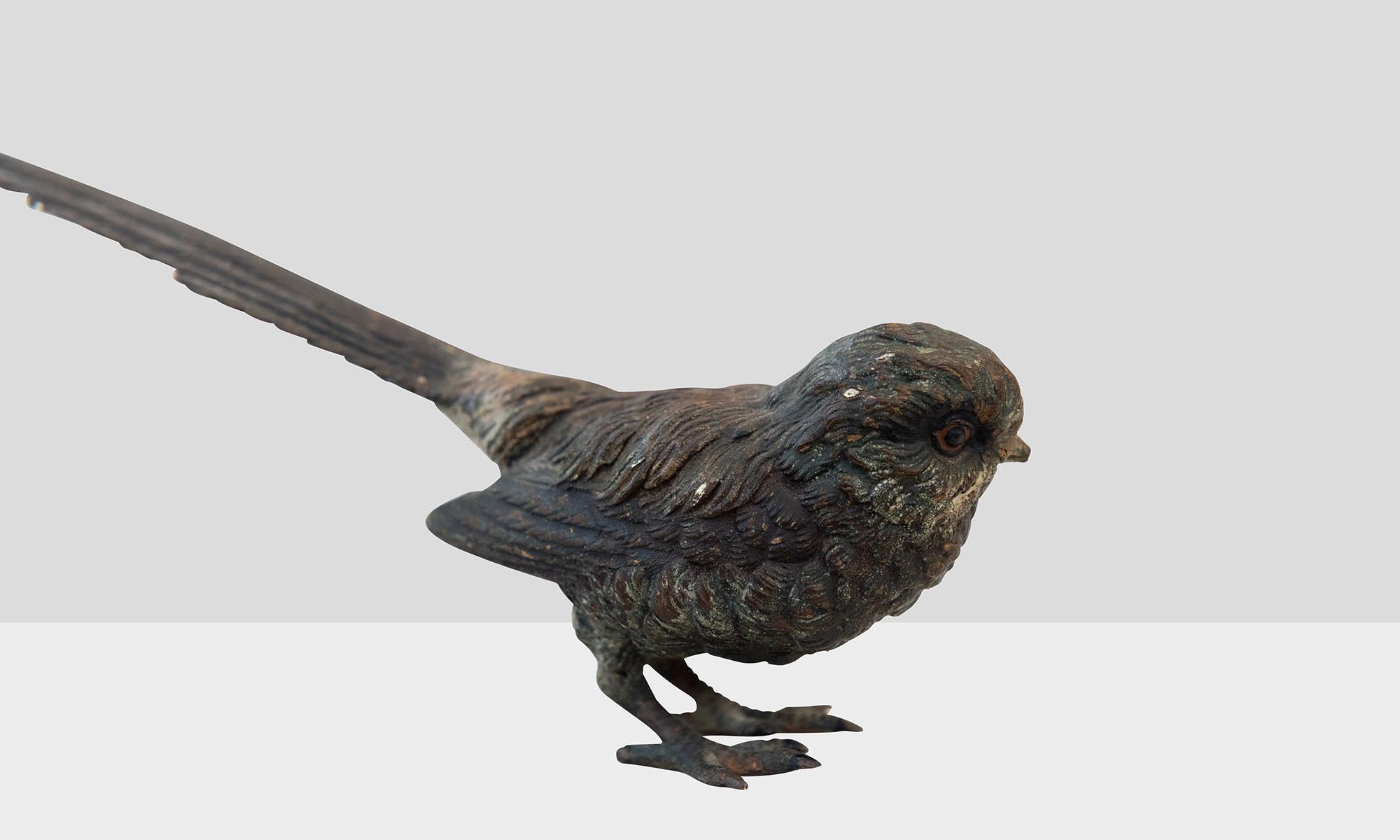 20th Century Bronze Long Tailed Brown Bird