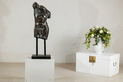 Bronze Male Torso Sculpture with Verdigris Patina Mounted on Black Stand