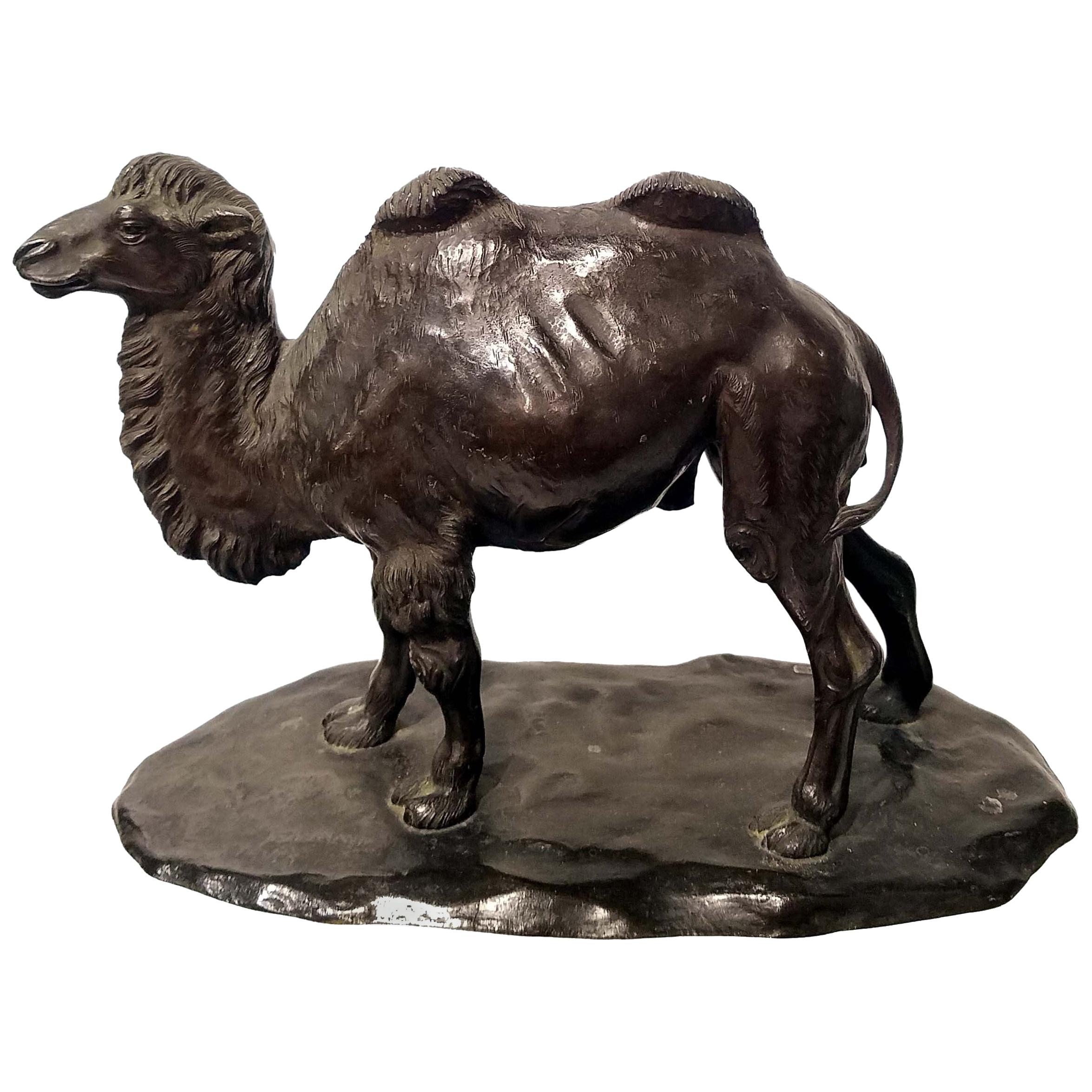 Bronze Model of a Camel, Signed Watanabe, Japan, 19th Century For Sale