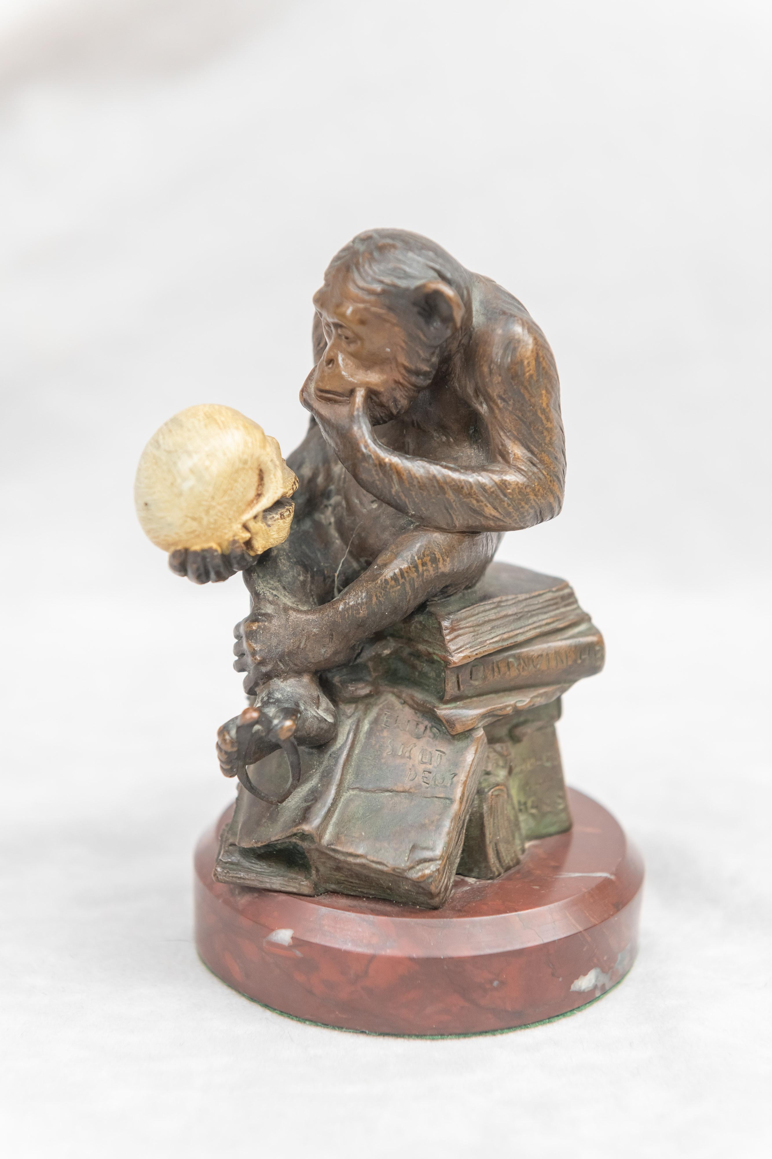 This is the best of our appreciation of whimsy. Here's the monkey holding a human skull (cold painted bronze) and also holding a caliper. He is sitting atop a book by Darwin. He is trying to understand if he is related to us human beings. The