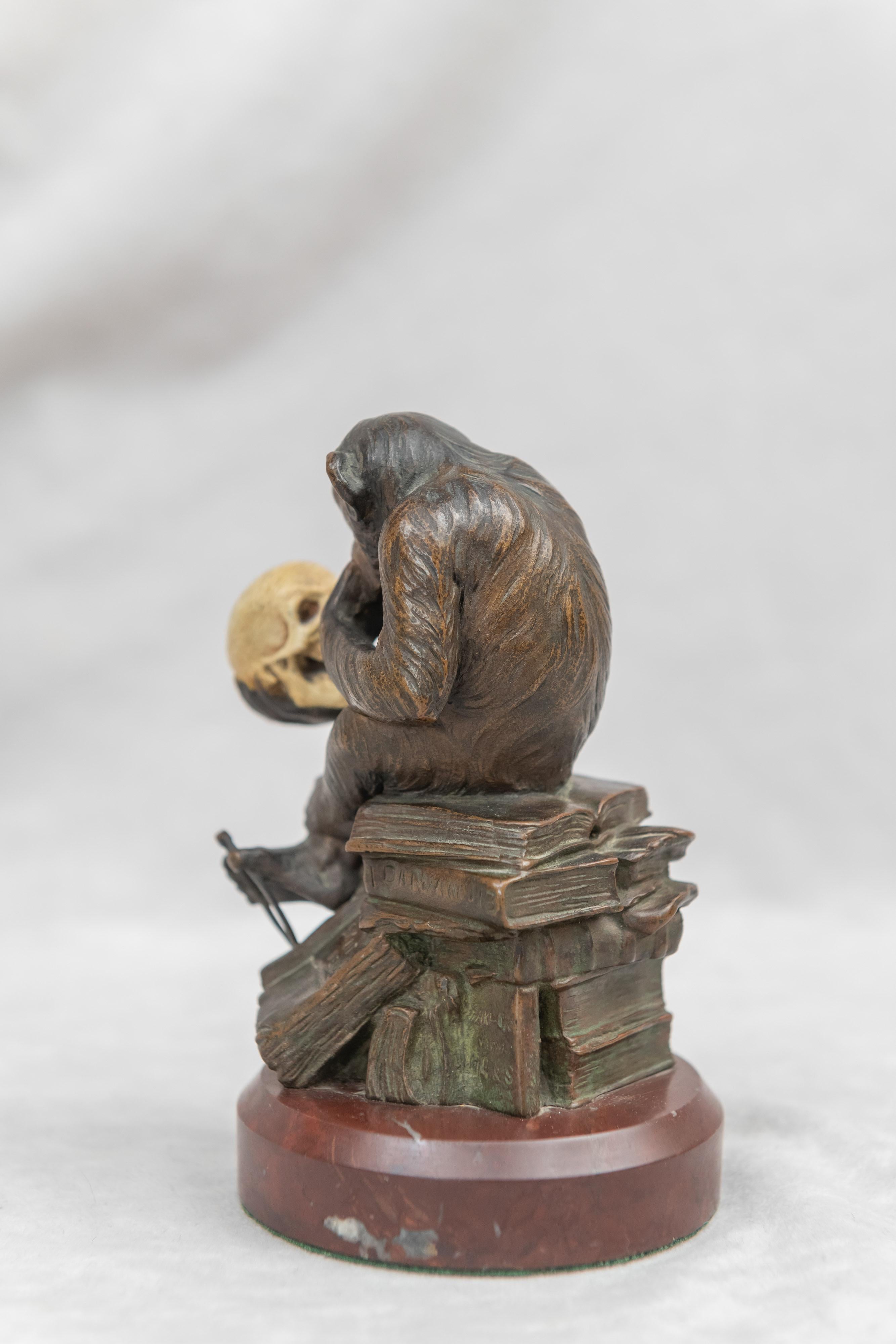 German Bronze Monkey Holding a Human Skull and a Caliper