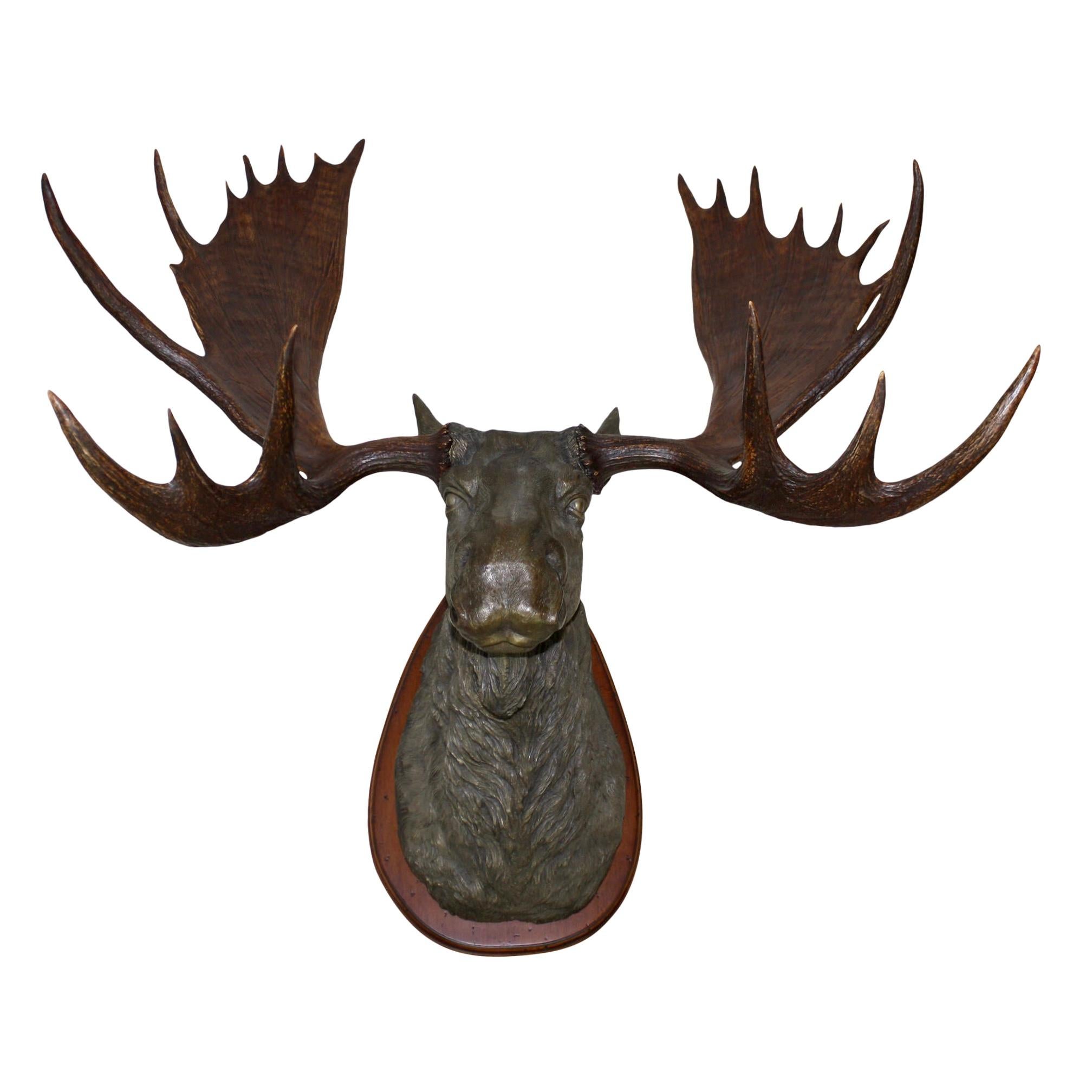 bronze moose head