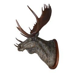 Bronze Moose with Antlers on Walnut Wall-Mount Plaque