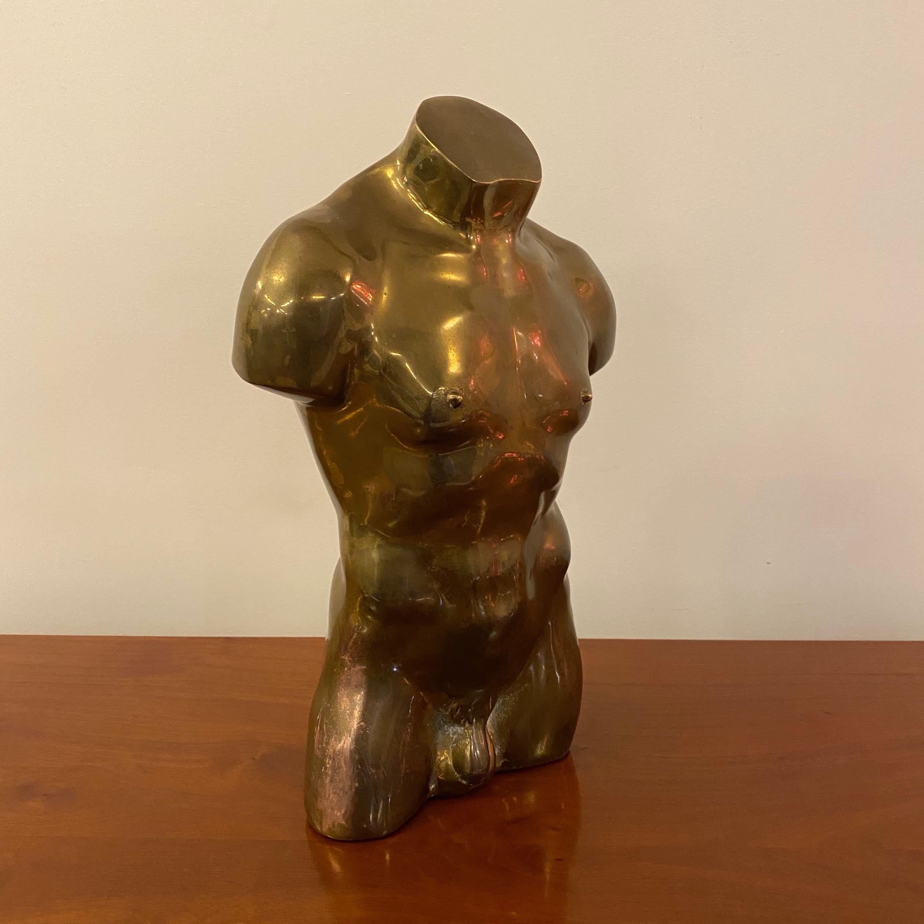 Bronze Nude Male Bust Sculpture, 1970s 1