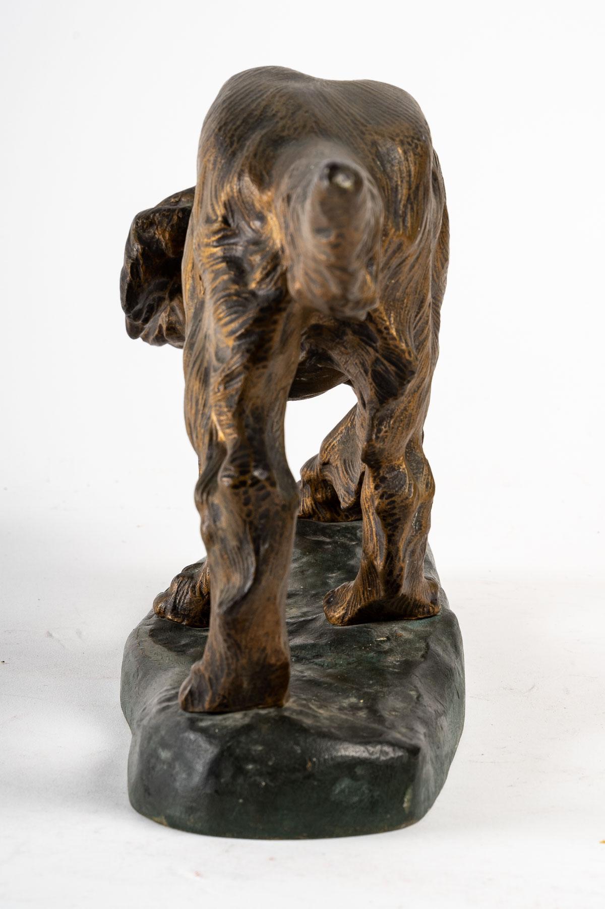 Bronze of a Dog 3