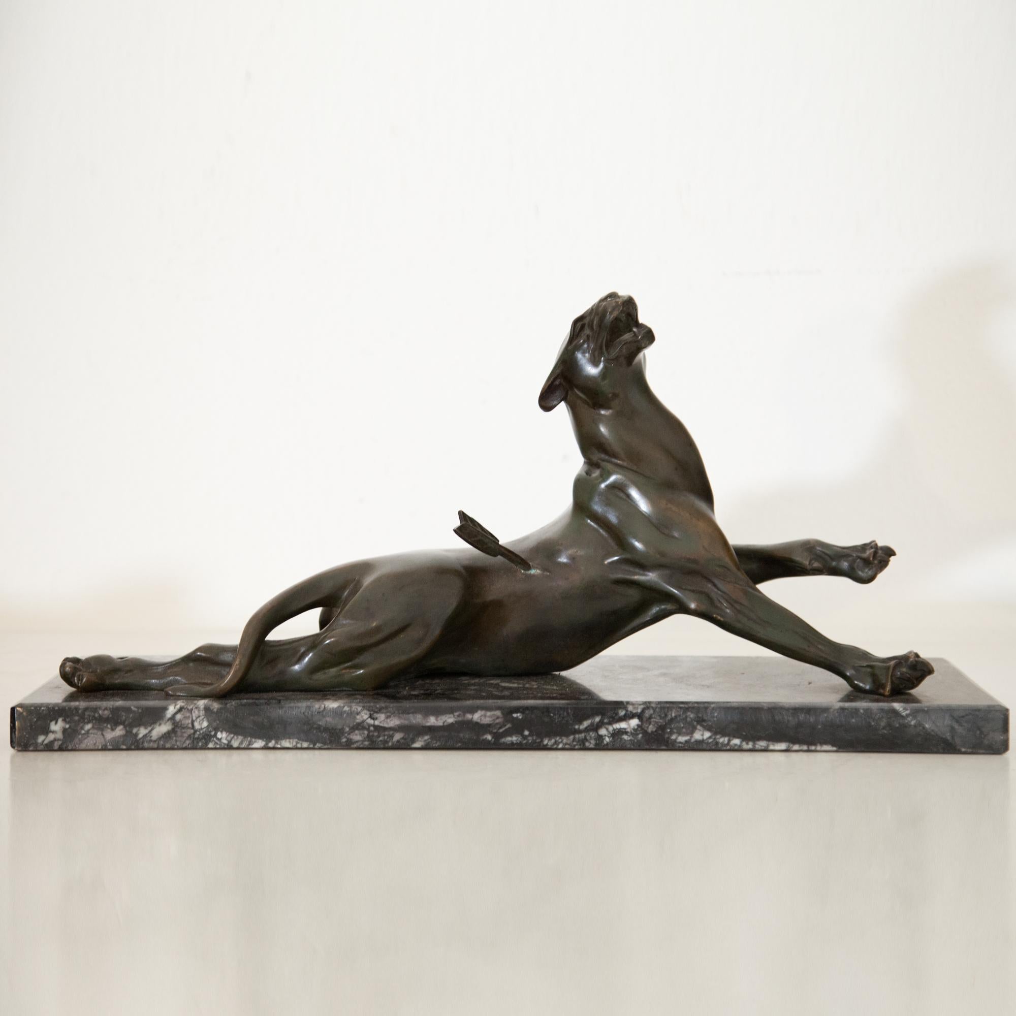 Panthère en bronze de conception naturaliste couchée sur un socle rectangulaire en marbre gris, avec une flèche dans le dos et une expression déformée par la douleur. Numérotée 54 et estampillée bronze véritable. (Socle 51,5 x 14,5 x 2,5).