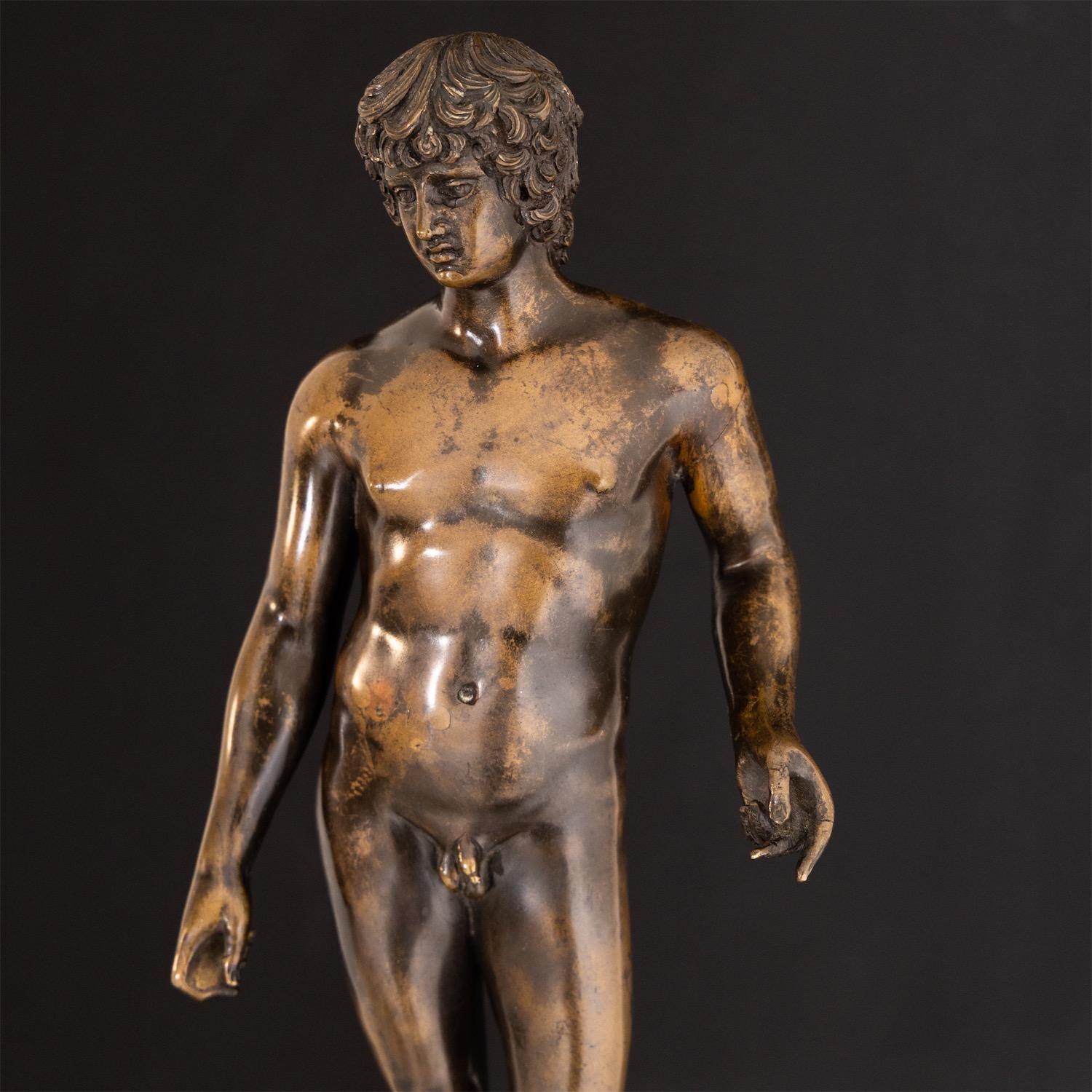 Bronze of Antinous Farnese, 19th Century 5
