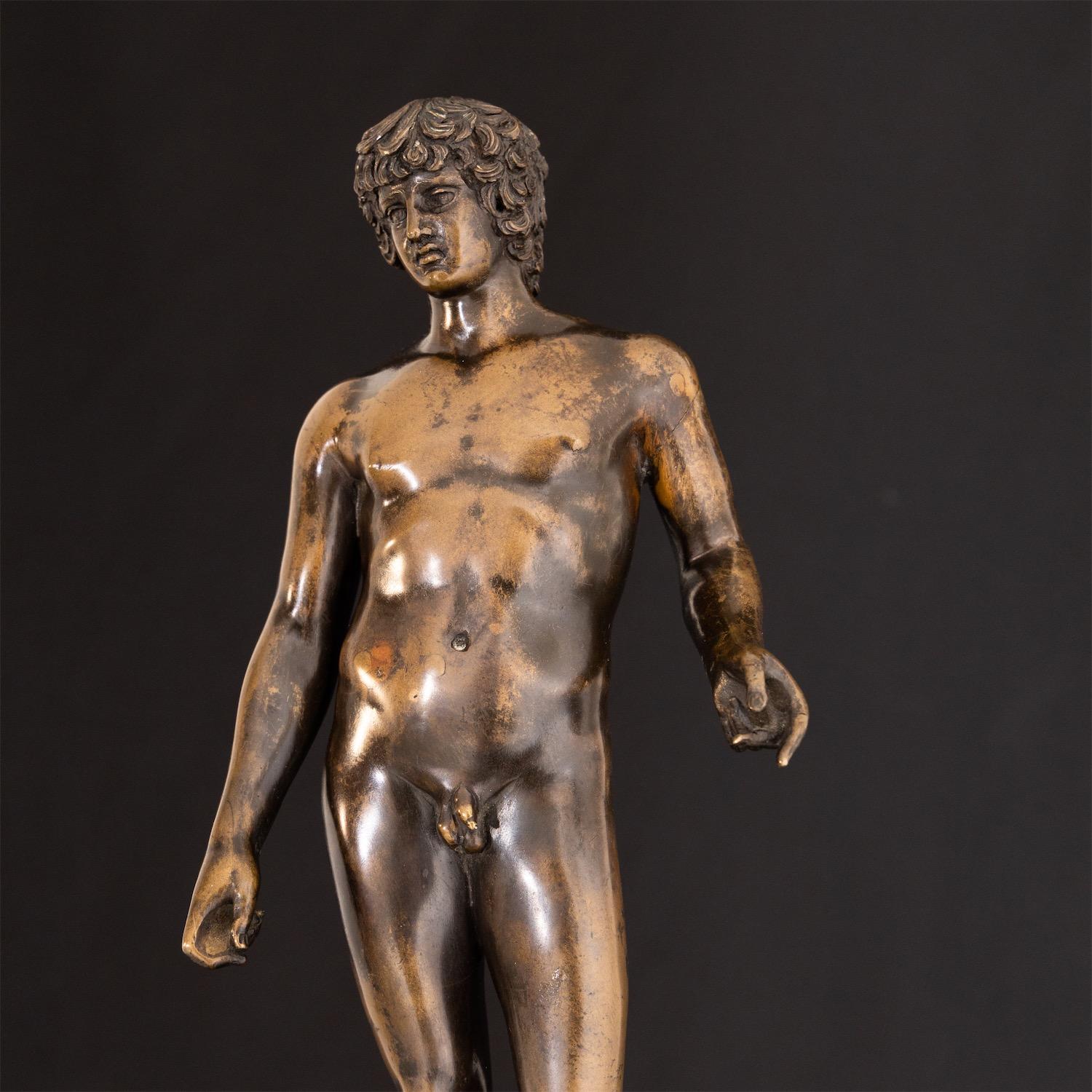 Bronze of Antinous Farnese, 19th Century 6
