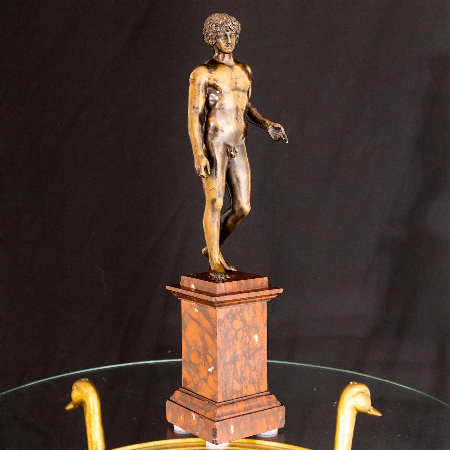 Bronze of Antinous Farnese, 19th Century 9