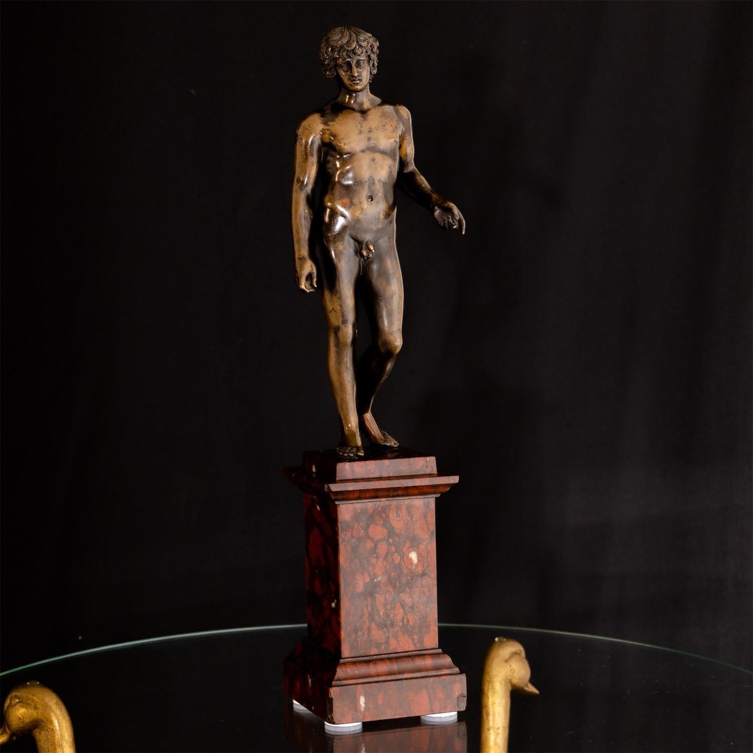Bronze of Antinous Farnese, 19th Century 11