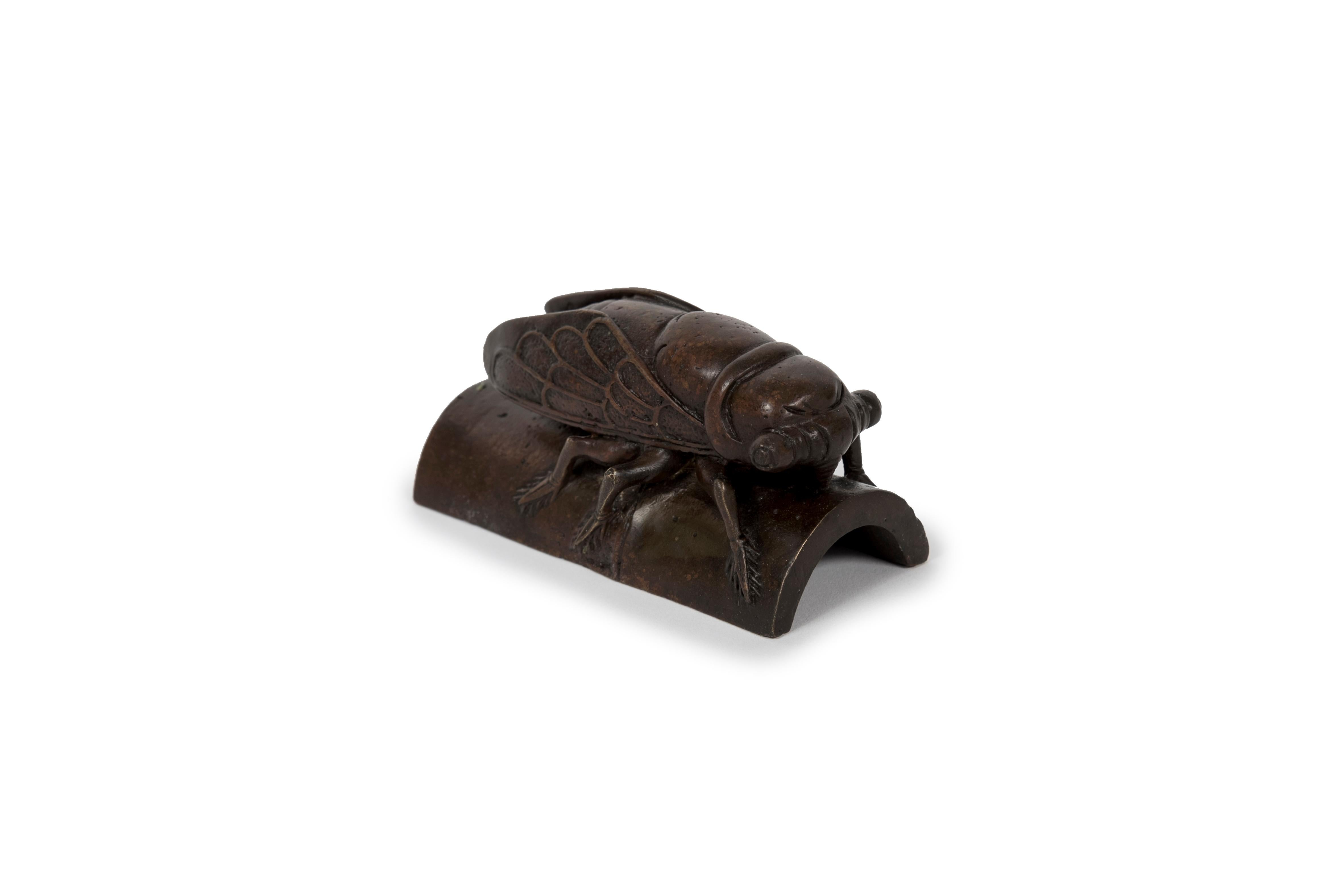 Enorme scultura in bronzo a forma di Cicada in piedi su un segmento di bambù. Questo tipo di scultura di piccole dimensioni con una base piatta è generalmente utilizzata dai calligrafi per mantenere i fogli di carta il più possibile piatti sul loro