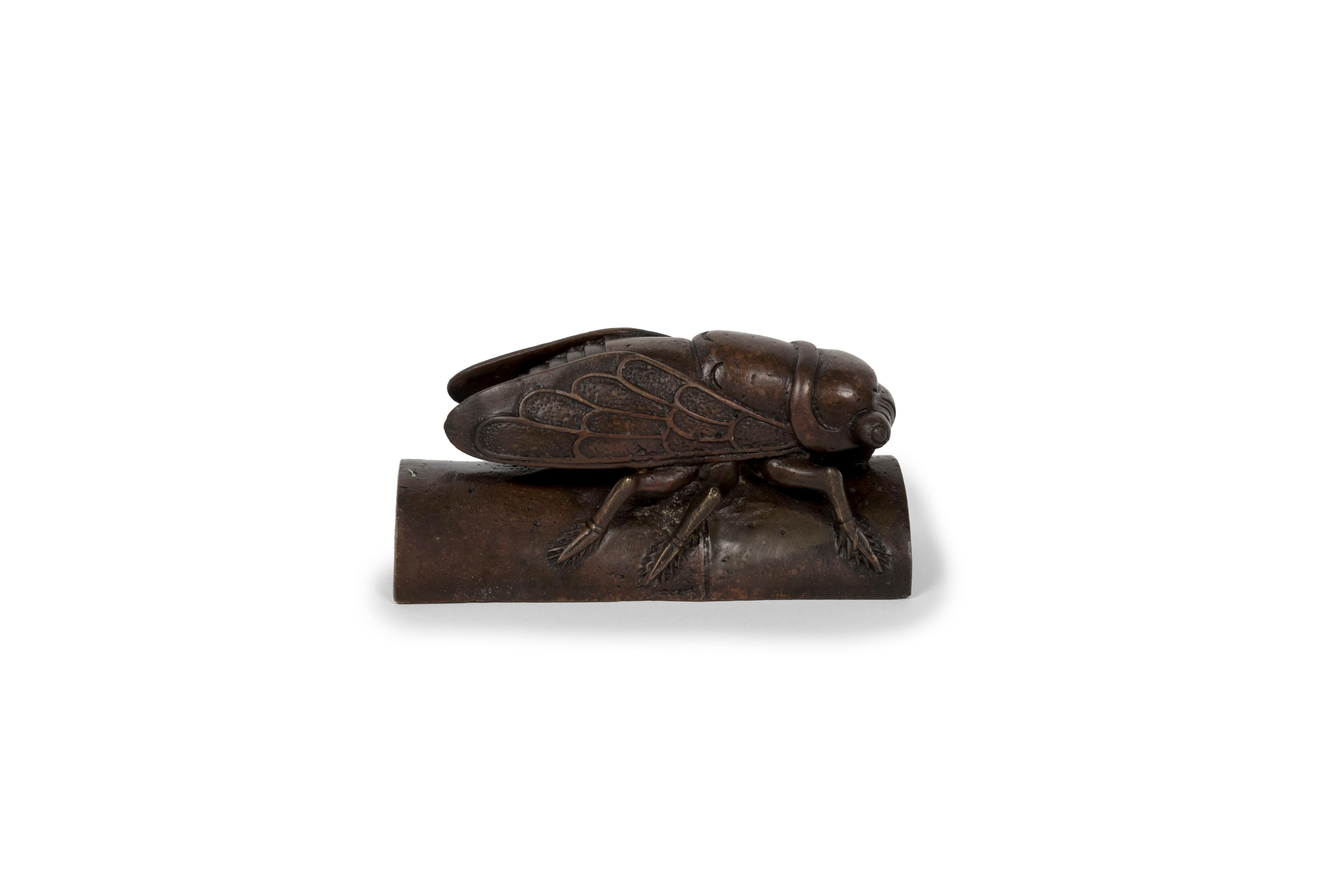 Meiji Scultura in bronzo okimono di un'enorme Cicada distesa su un segmento di bambù in vendita