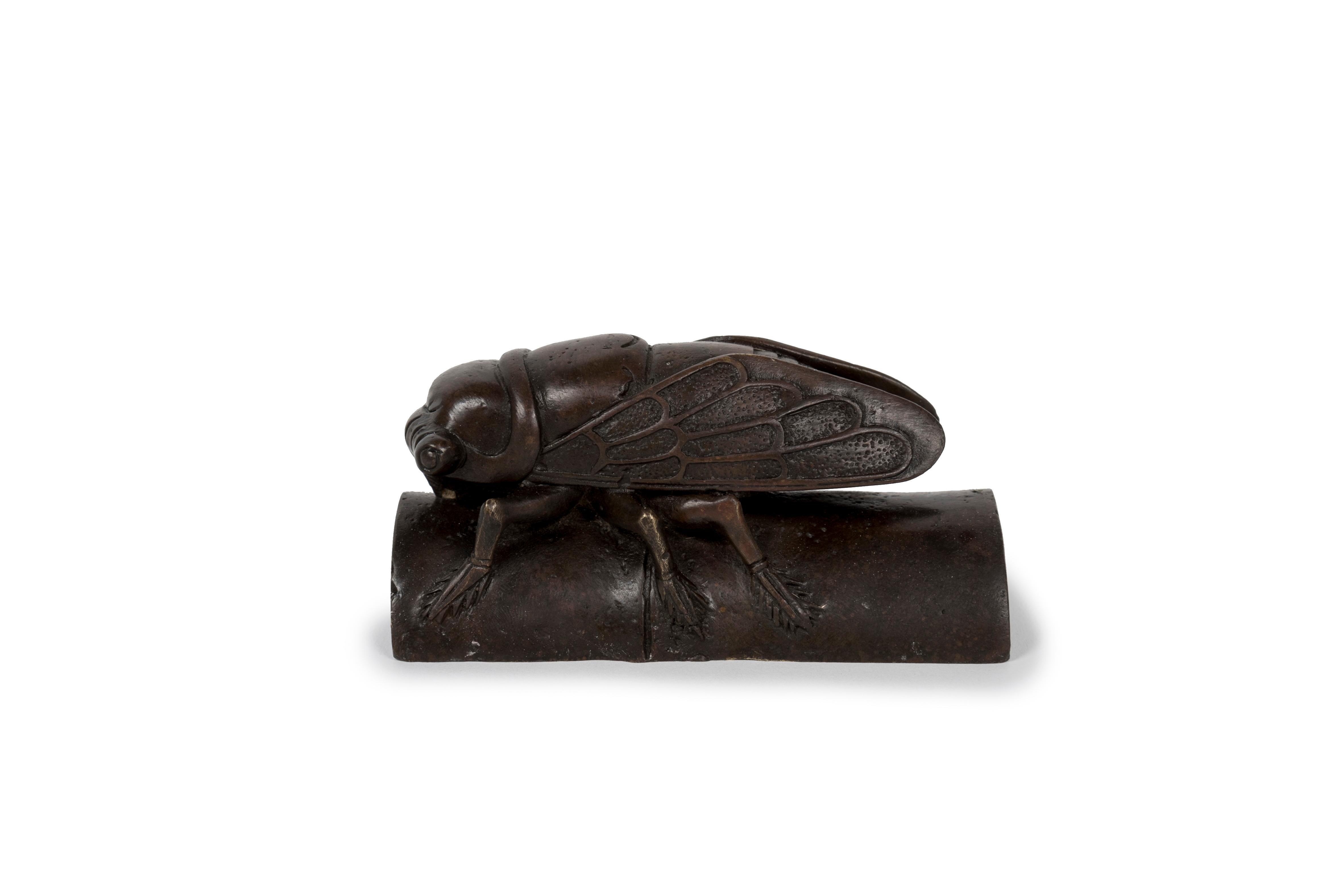 Scultura in bronzo okimono di un'enorme Cicada distesa su un segmento di bambù In condizioni ottime in vendita a PARIS, FR