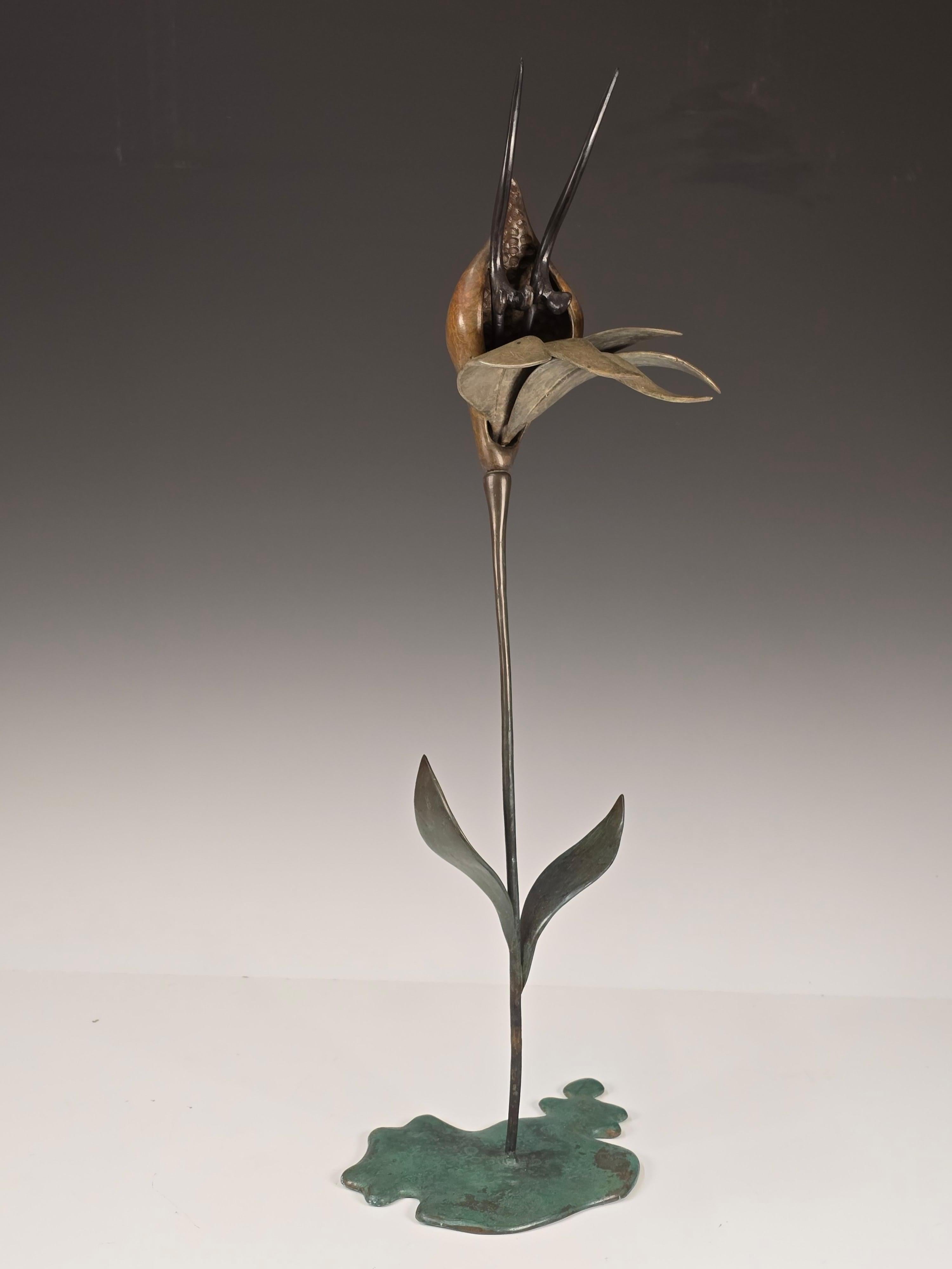 Una bellissima scultura in bronzo patinato di un'orchidea di William Williams Jauquet realizzata nel 1988.   Firmato e numerato en verso uno dei fogli.  La lavorazione e la finitura della fusione sono incredibili, tanto che non c'è letteralmente