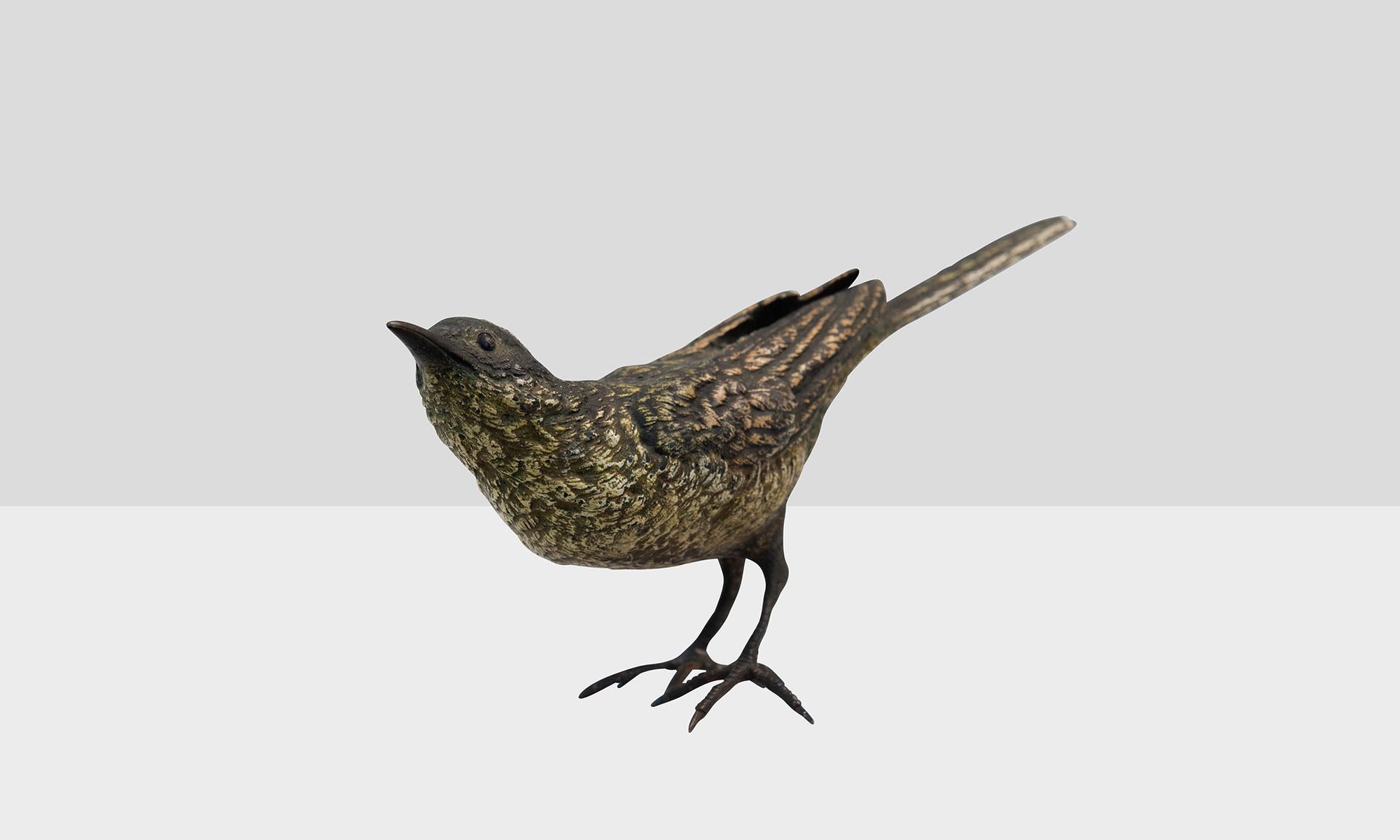 19th Century Bronze Oriole with Long Tail