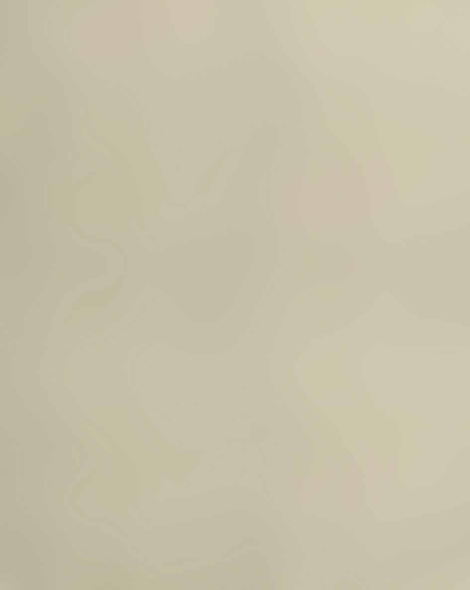 Bronzo, Orsi, Signora Kamini Jivan, Sedia IV, Pergamena grigio scuro, CAP in bronzo in vendita 7