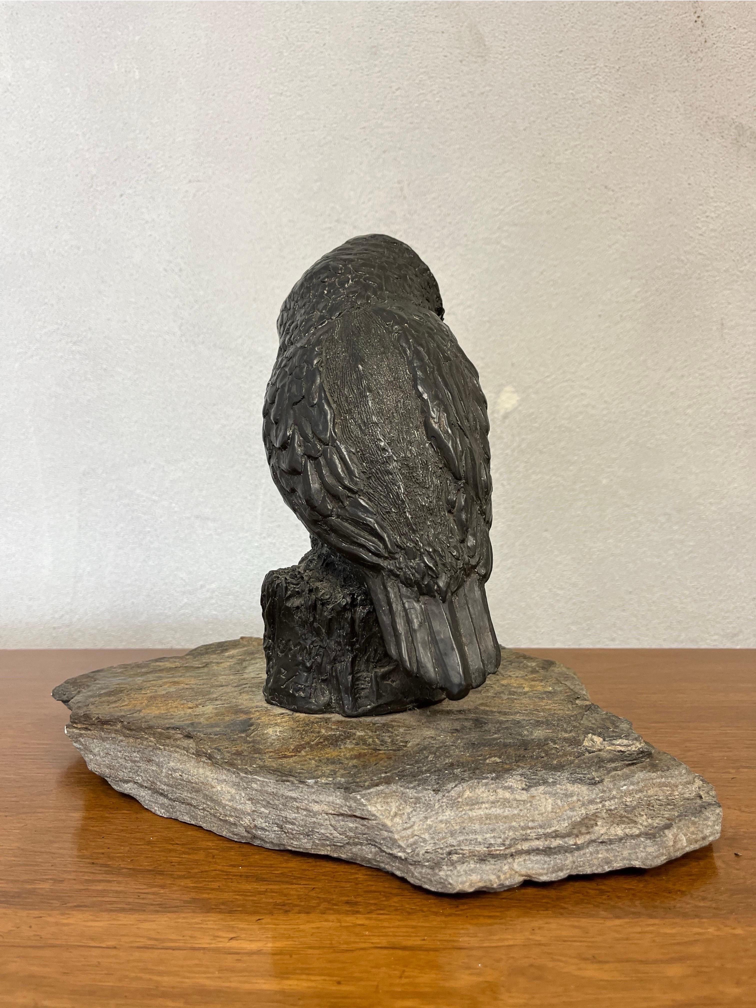 XX secolo Scultura di gufo in bronzo firmata e numerata in vendita