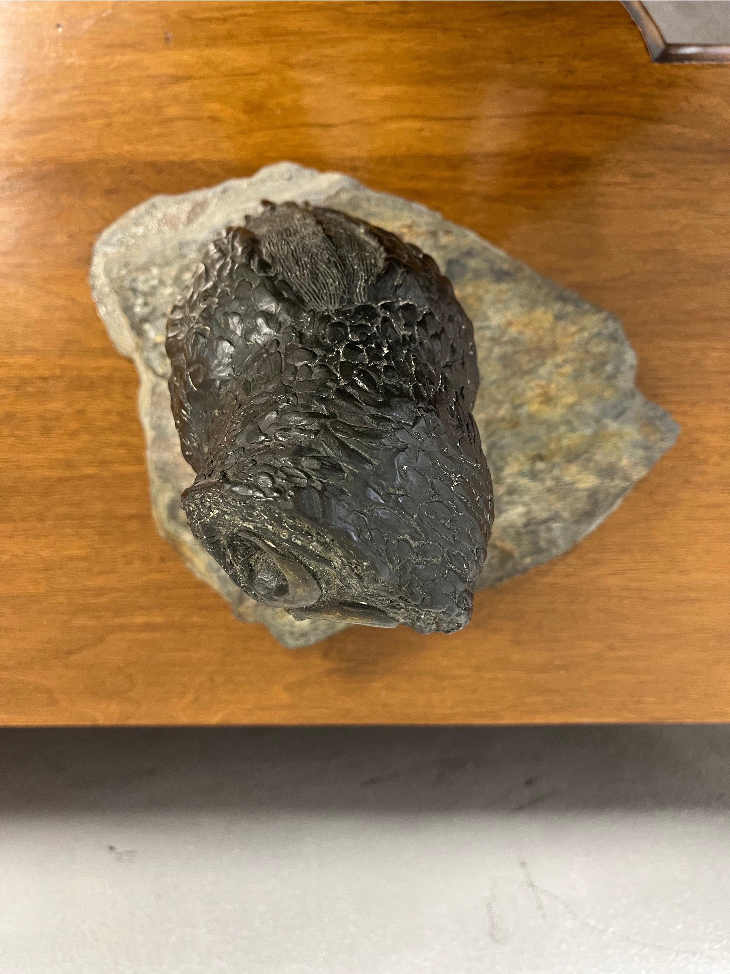Scultura di gufo in bronzo firmata e numerata in vendita 1