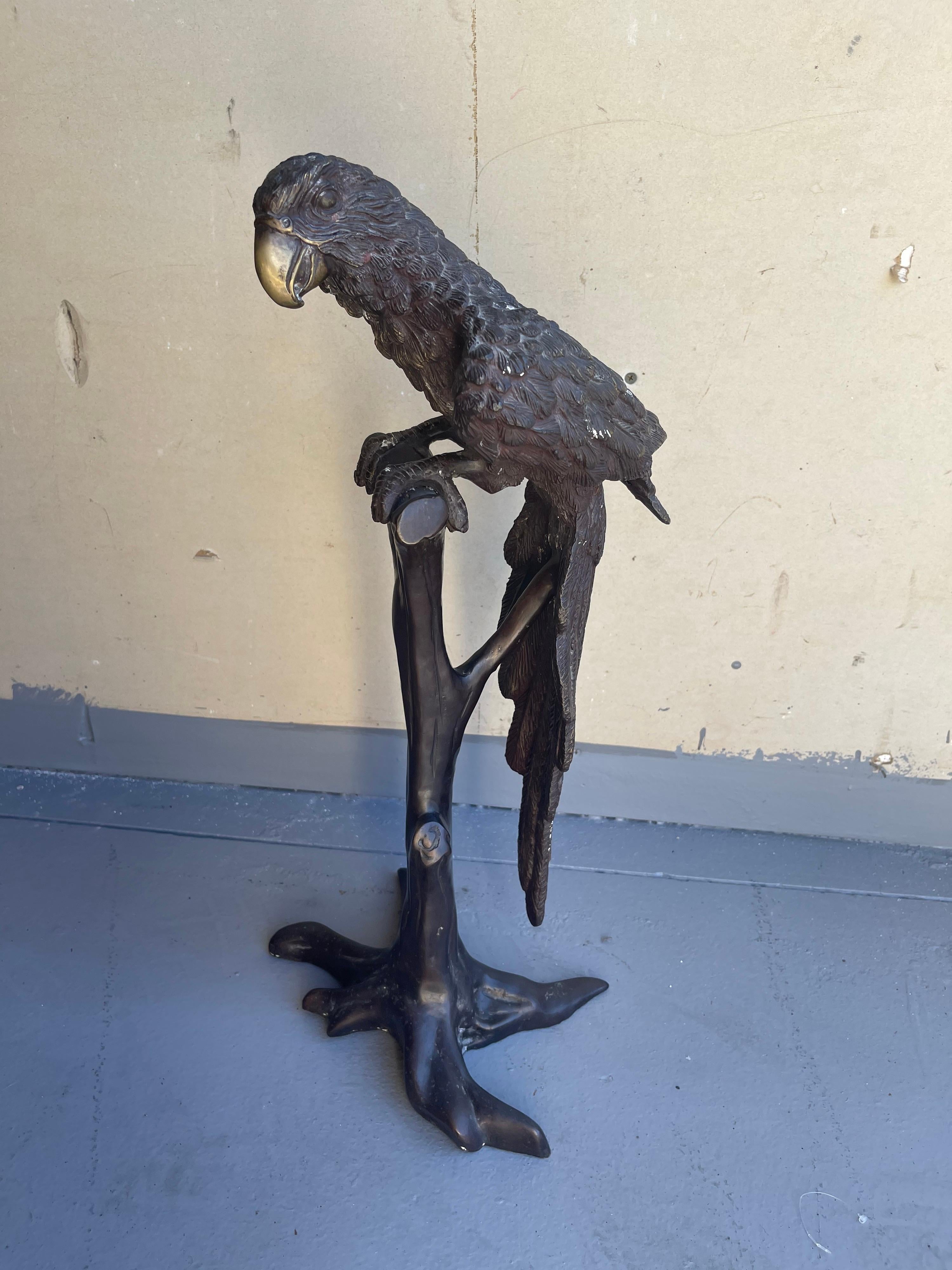 American Bronze Parrot on Tree Branch Sculpture by Segal