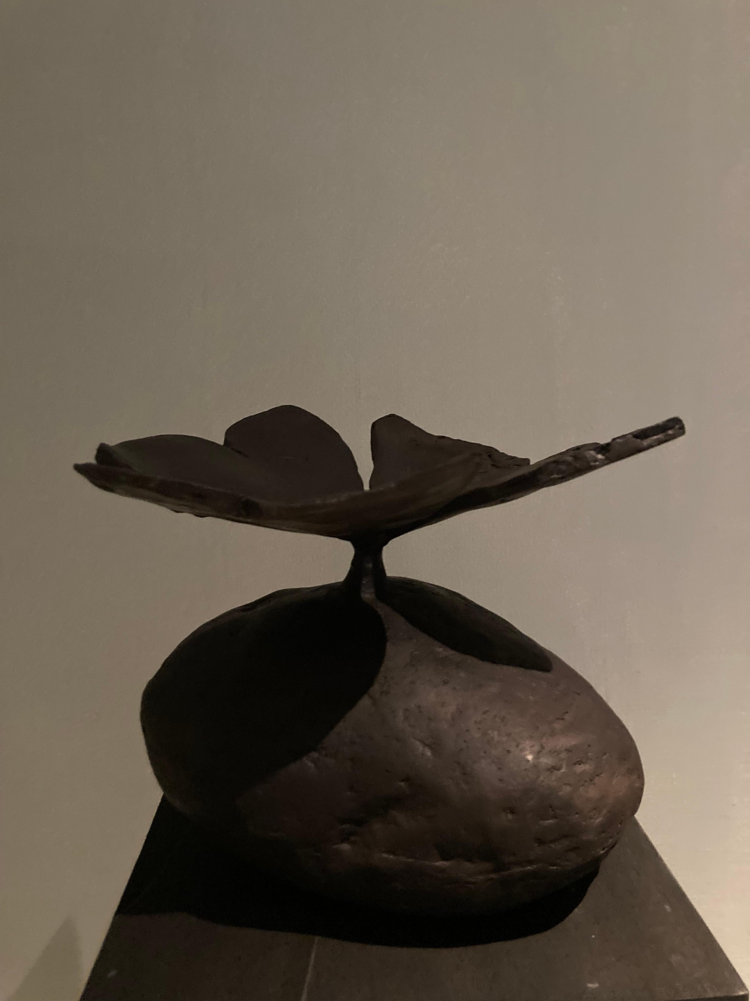 Bronze Patinated Oxalis Decorative Object by Herma de Wit
Limited Edition of 6 + 2 AP pieces.
Dimensions: D 21 x W 21 x H 17 cm. 
Materials: Patinated bronze.

Nature, a boundless source of inspiration and pure beauty. Those who are not touched by