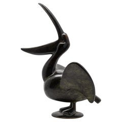 Bronze Pelican