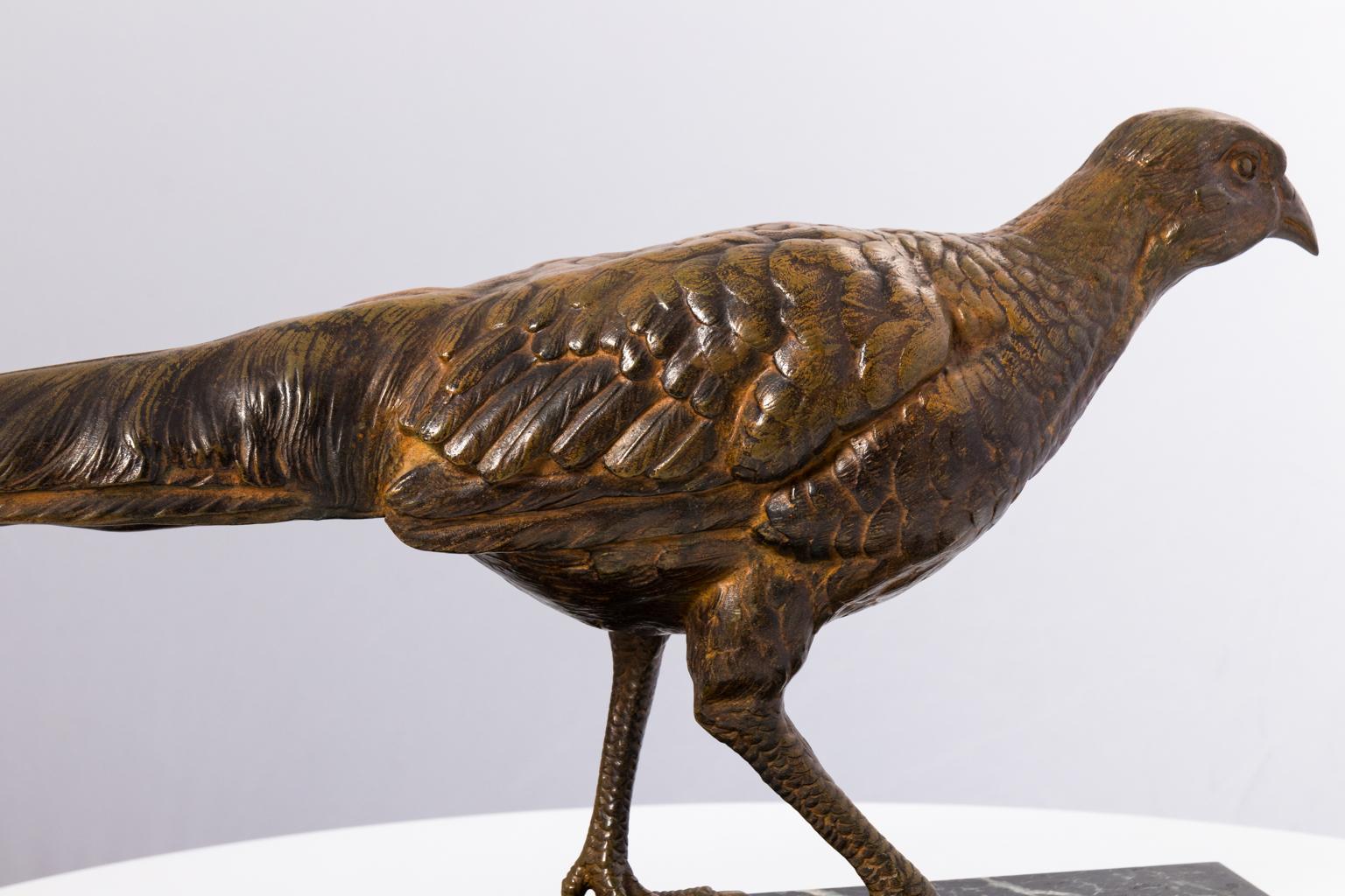 Bronze Pheasant, French 11
