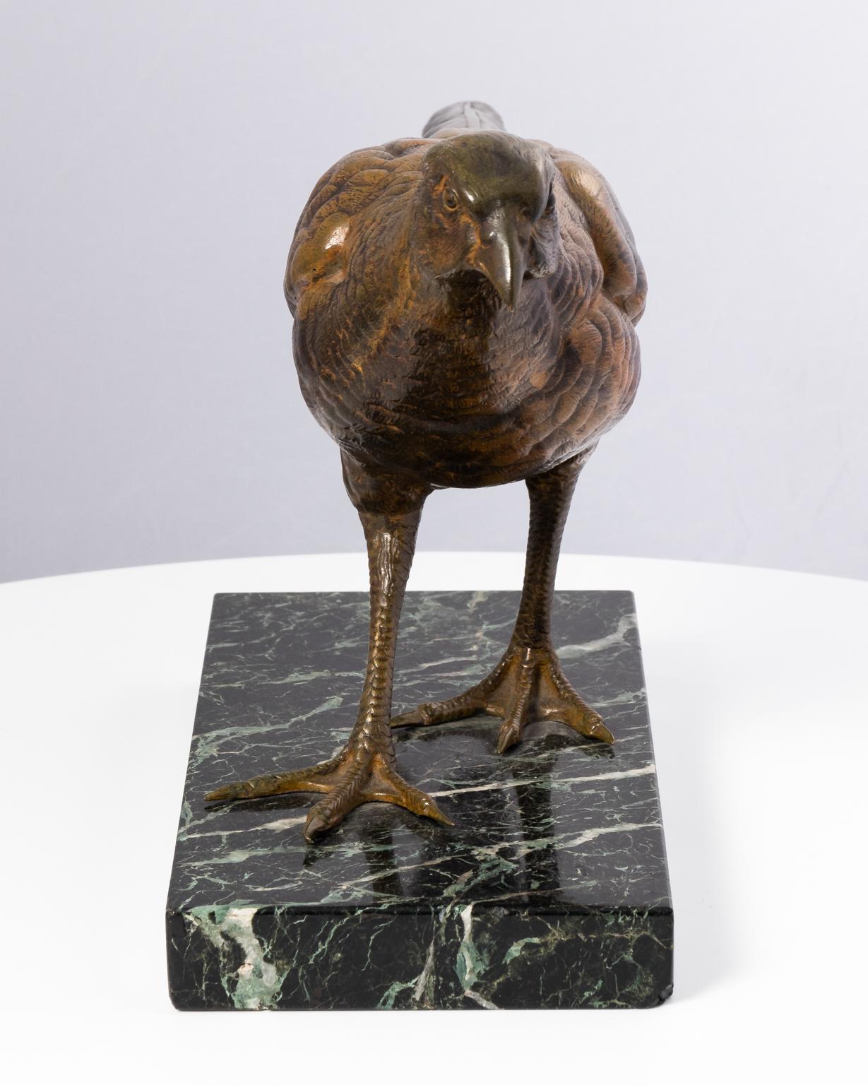 Bronze Pheasant, French 2