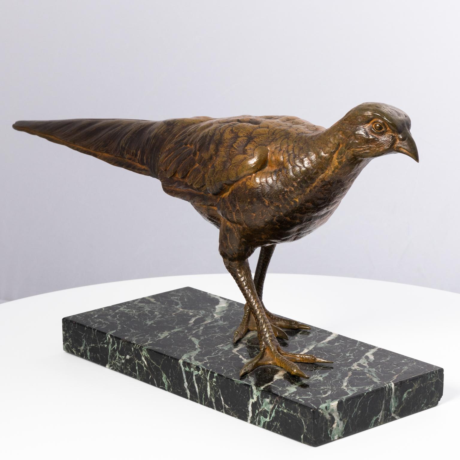 Bronze Pheasant, French 3
