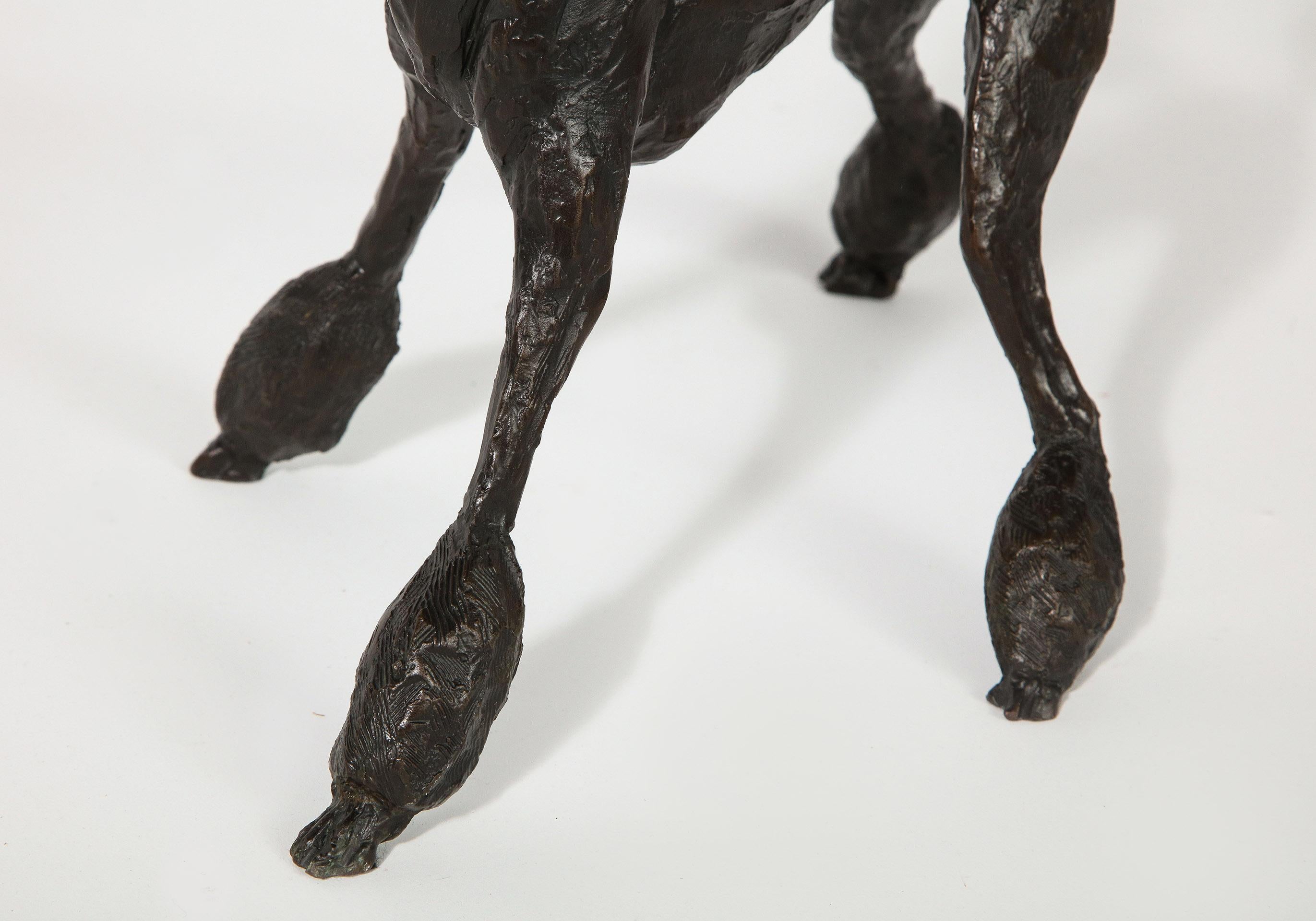 Bronze Poodle 10