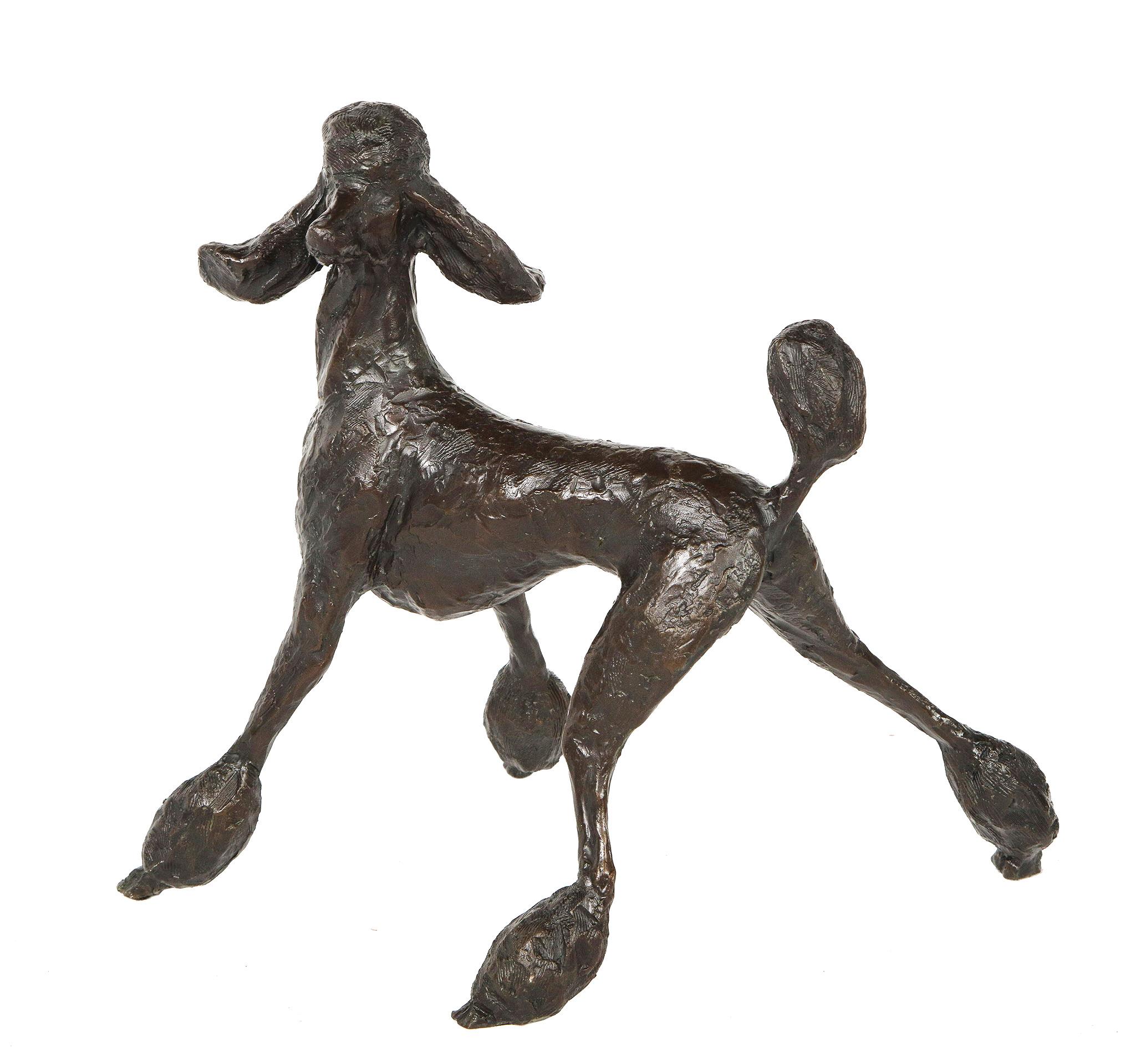 Bronze Poodle 4
